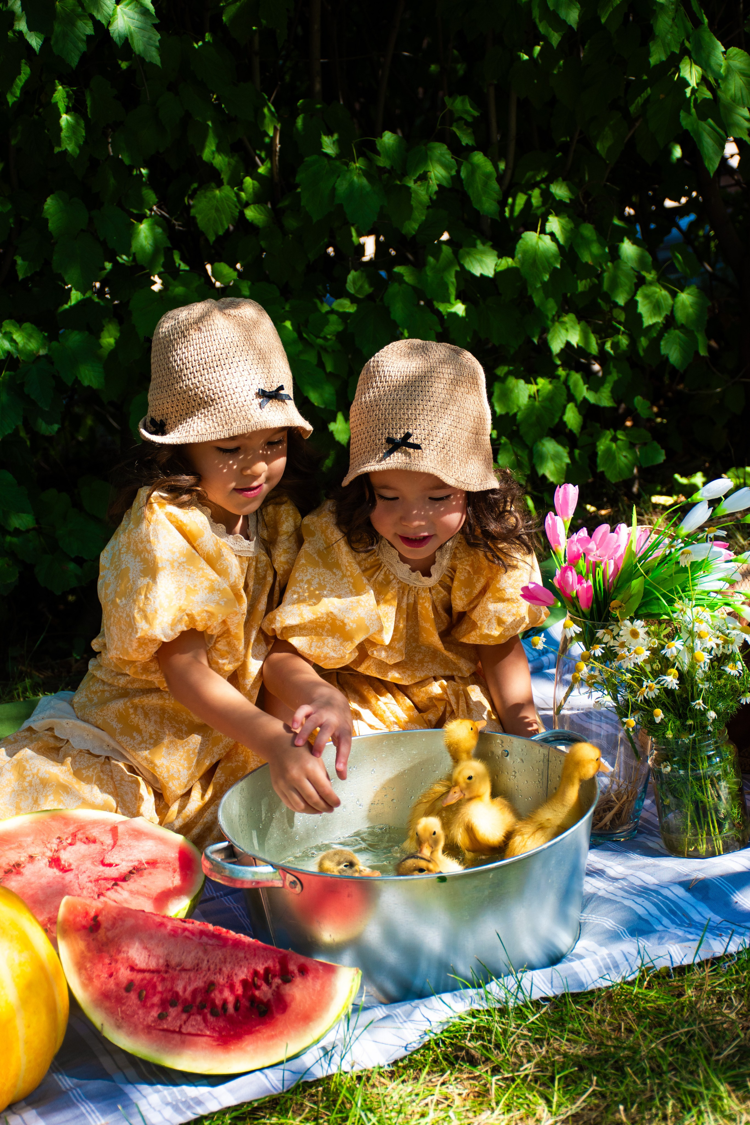Фотодень «Утята». Фотограф Астана