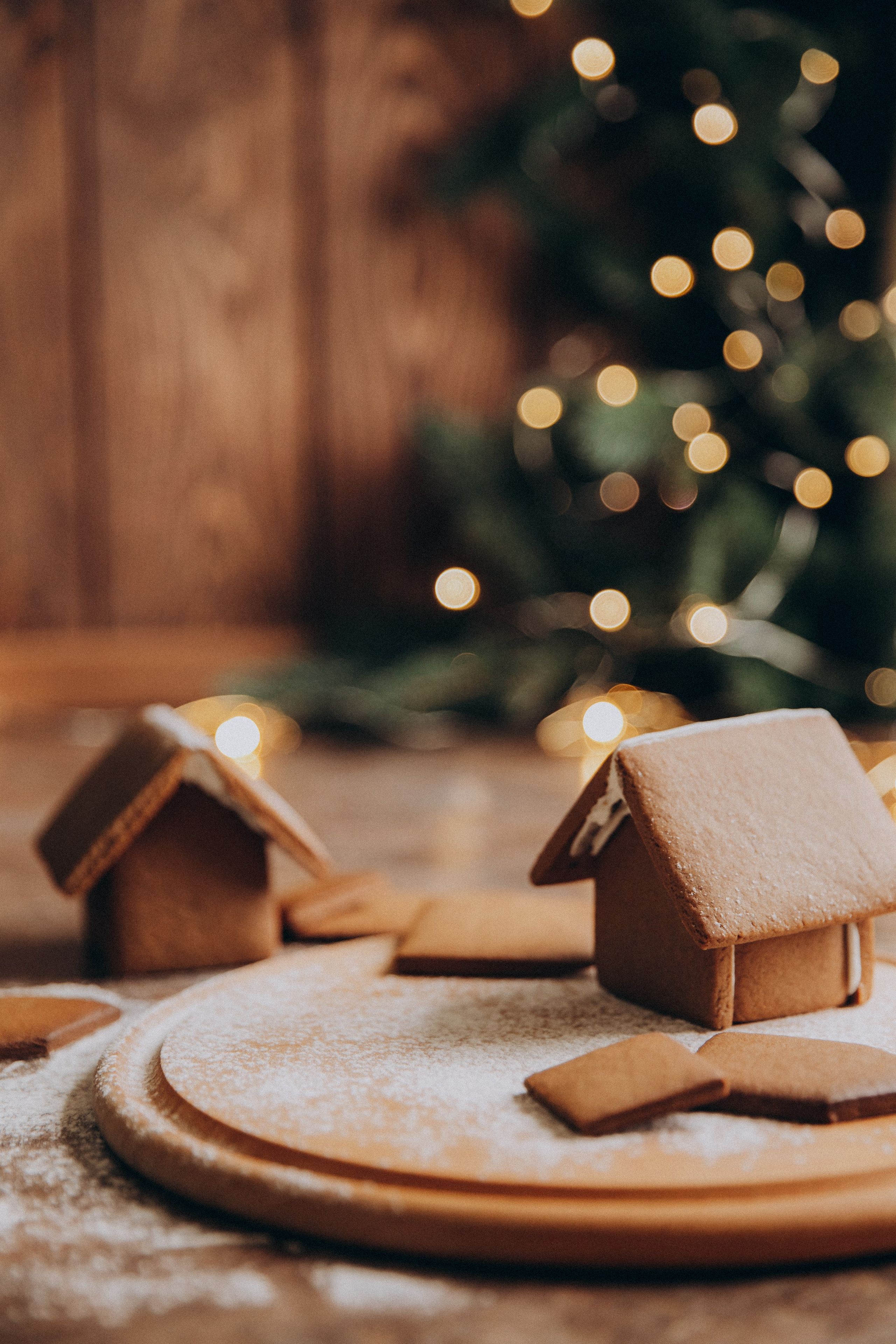 НГ. Свадебный и семейный фотограф Василина Батищева в Моздоке, Северной Осетии и КМВ