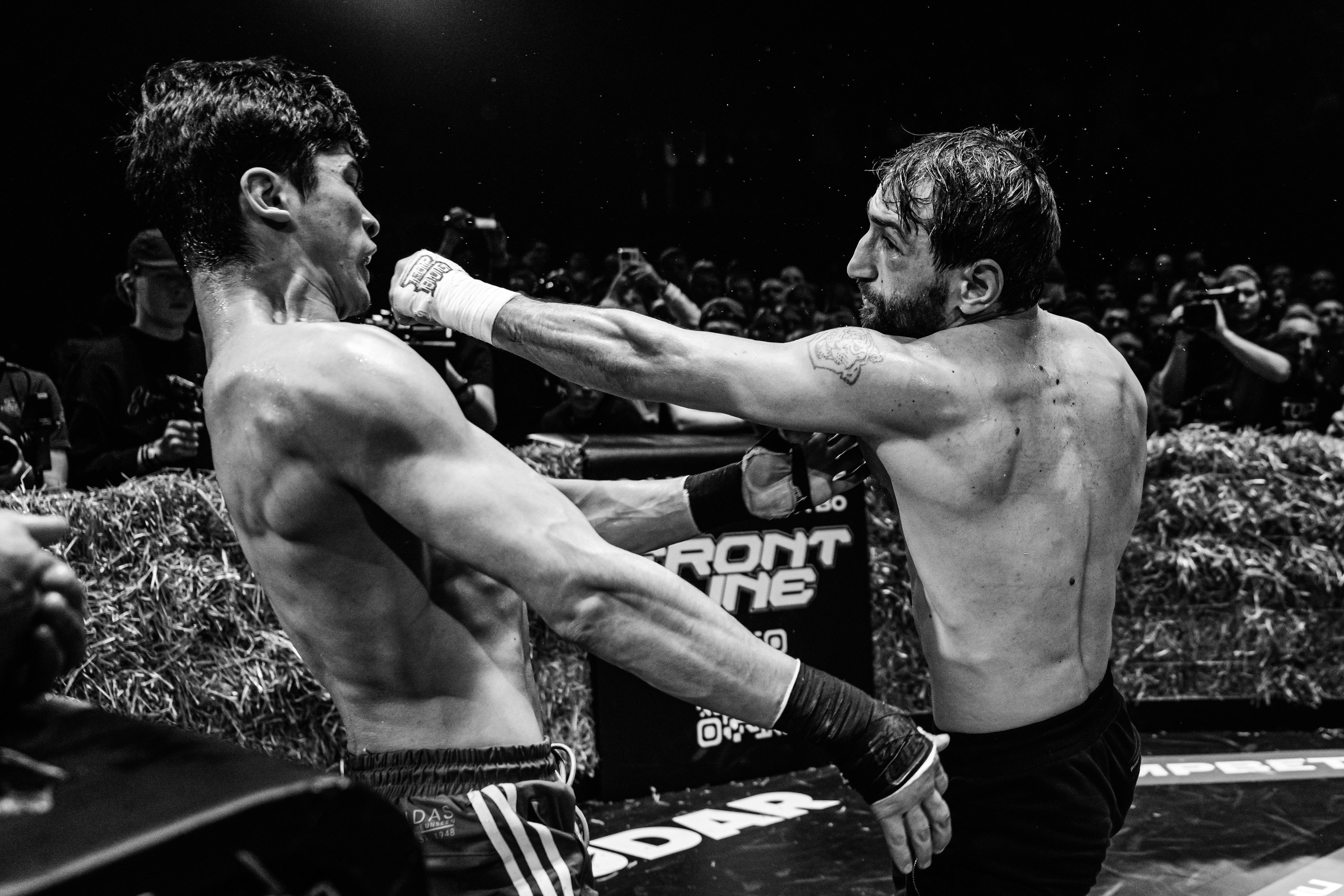 TOP DOG 2. Максим Комаров — Профессиональный фотограф