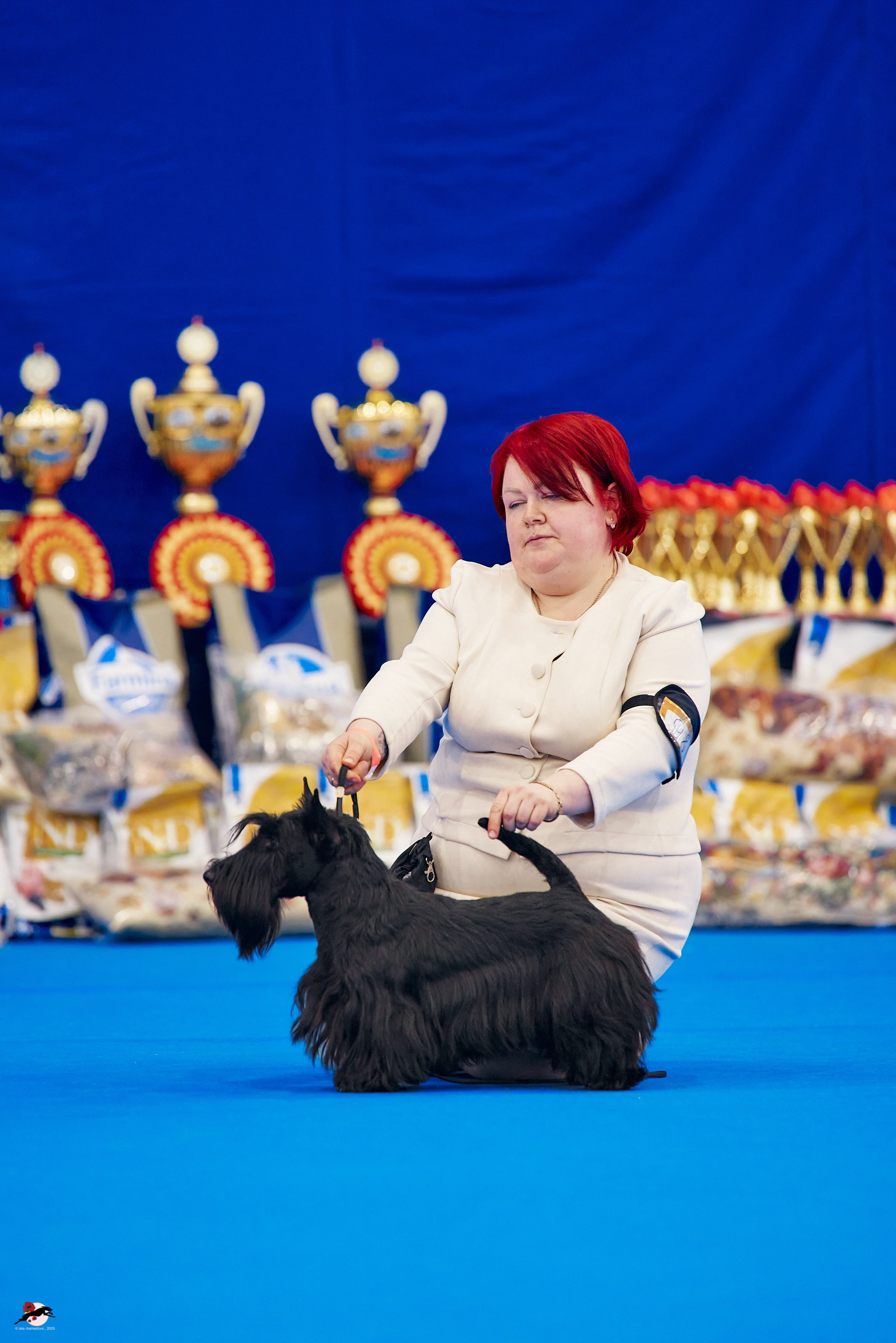 27.04.2025 | "Петербург-Элита 2025" & «КУБОК «ЭЛИТЫ»-2025»