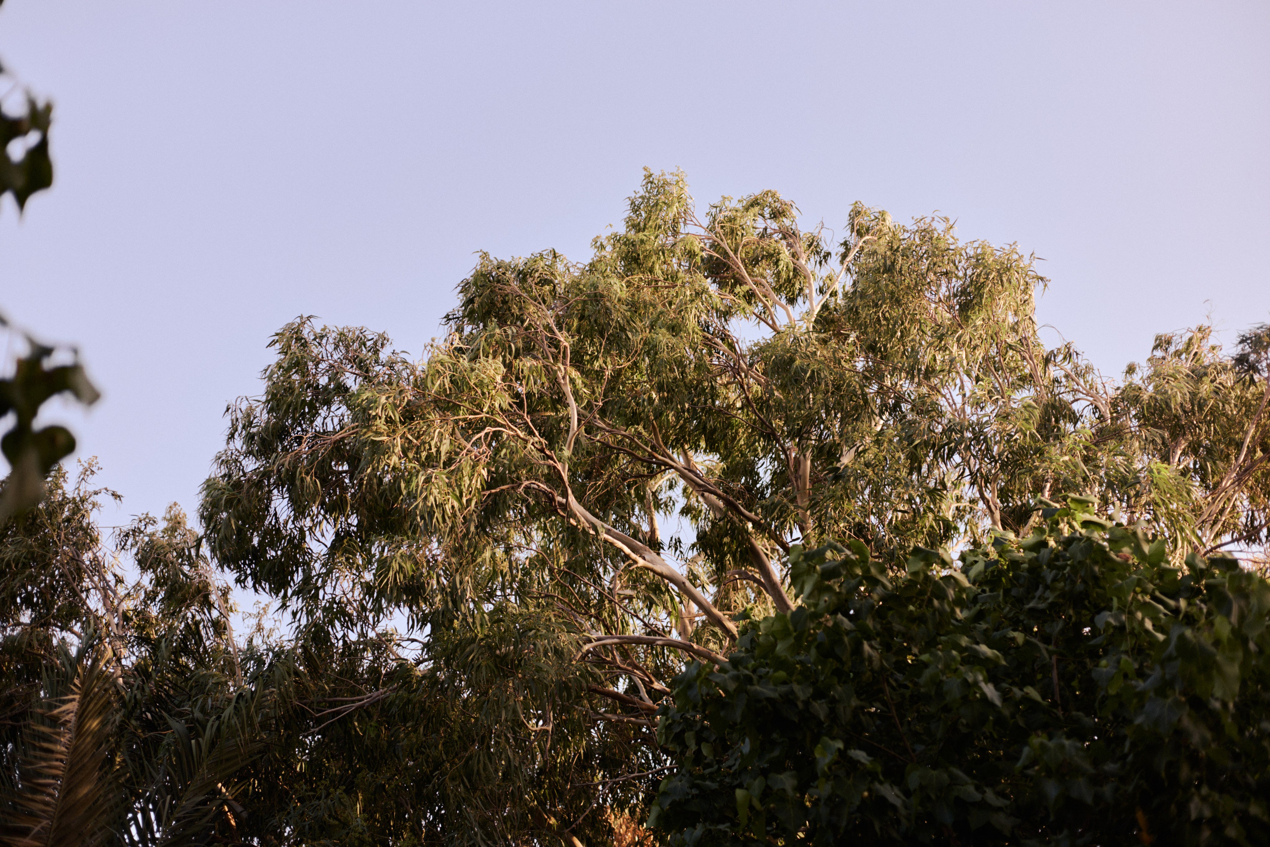 Другое 3. Jorgis Talè — photographer, kind person, teacher of arts and other mag