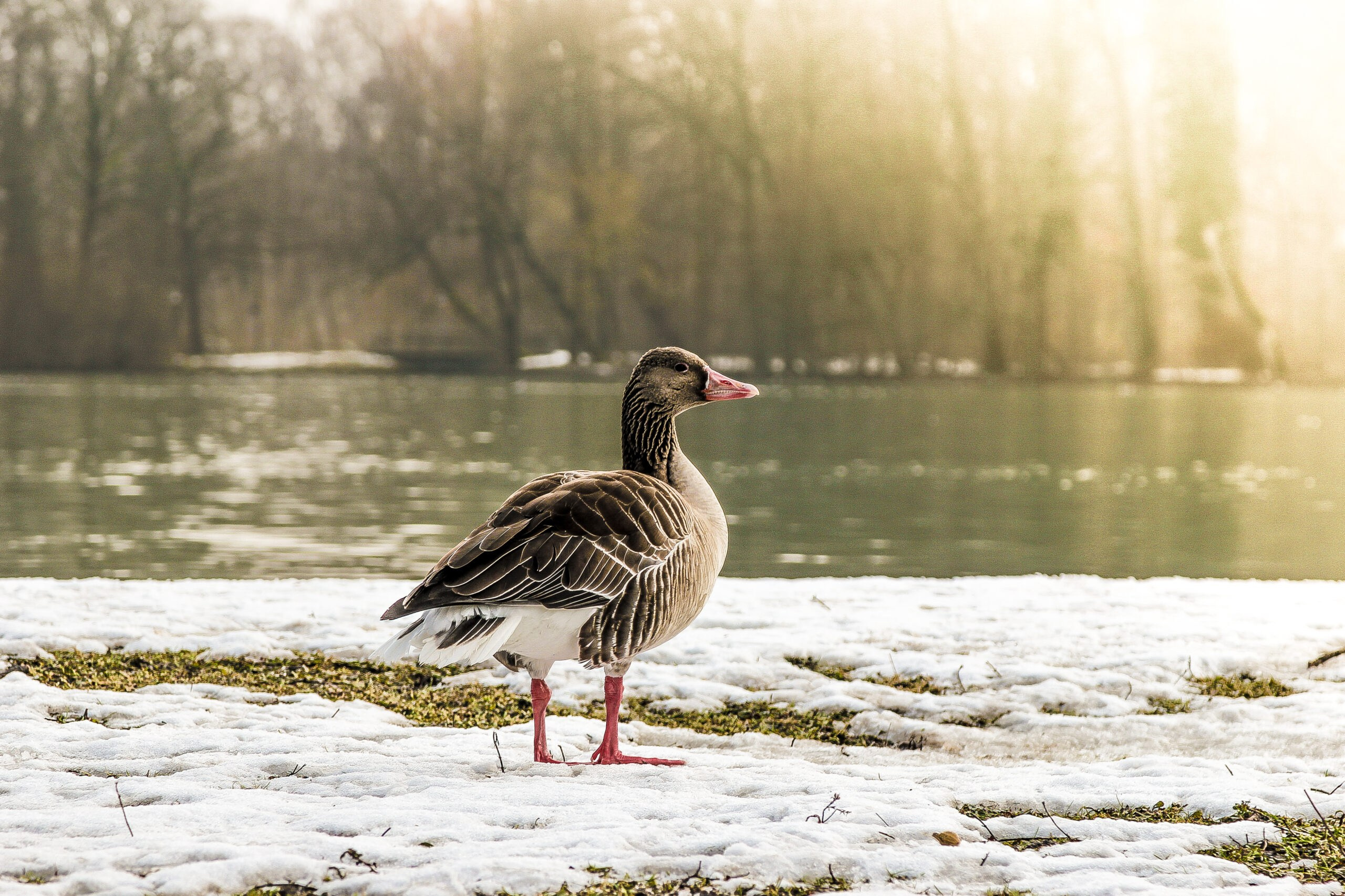 Landscape. Noam Paradise Photographer