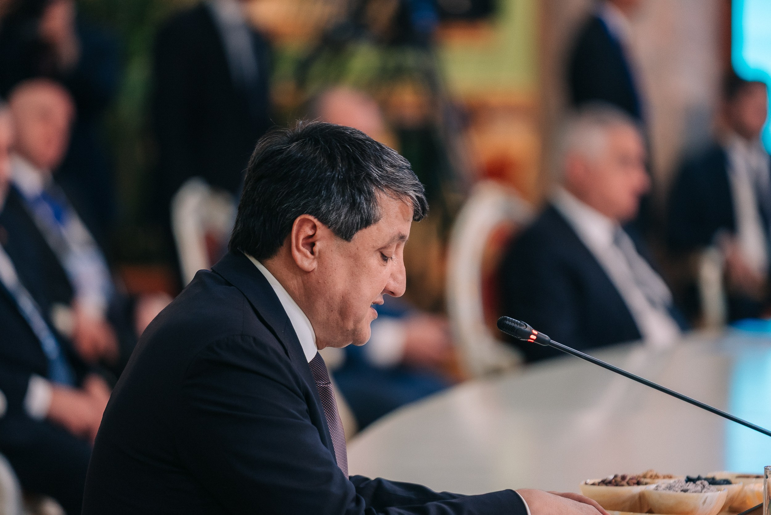 Заседание Совета Глав Правительств СНГ. Портретный и Репортажный Фотограф Москва