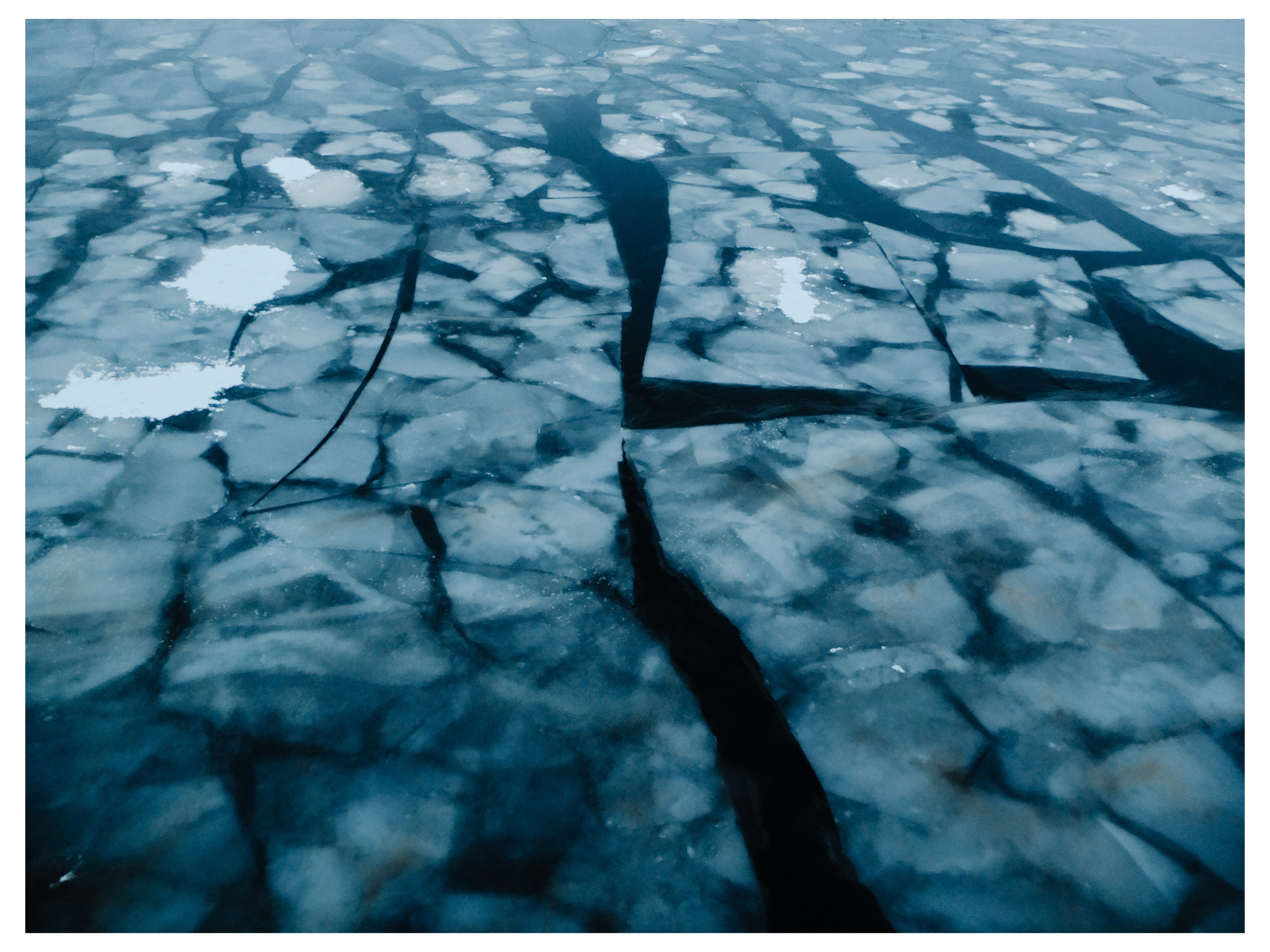 Шмитов Егор