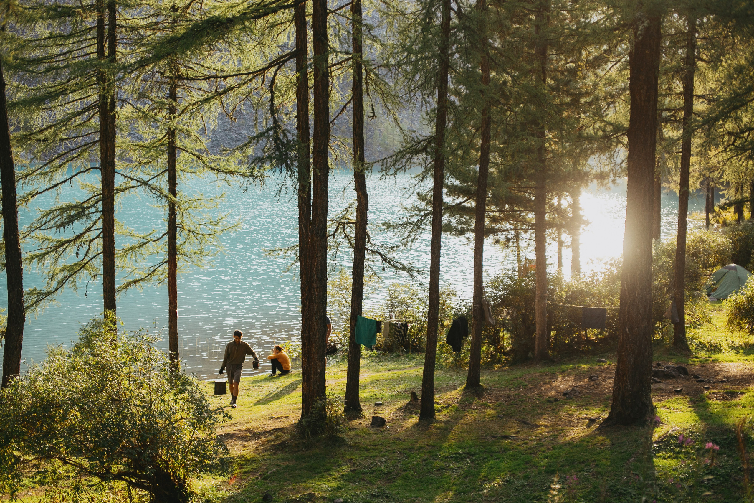 Шавлинские. Главная