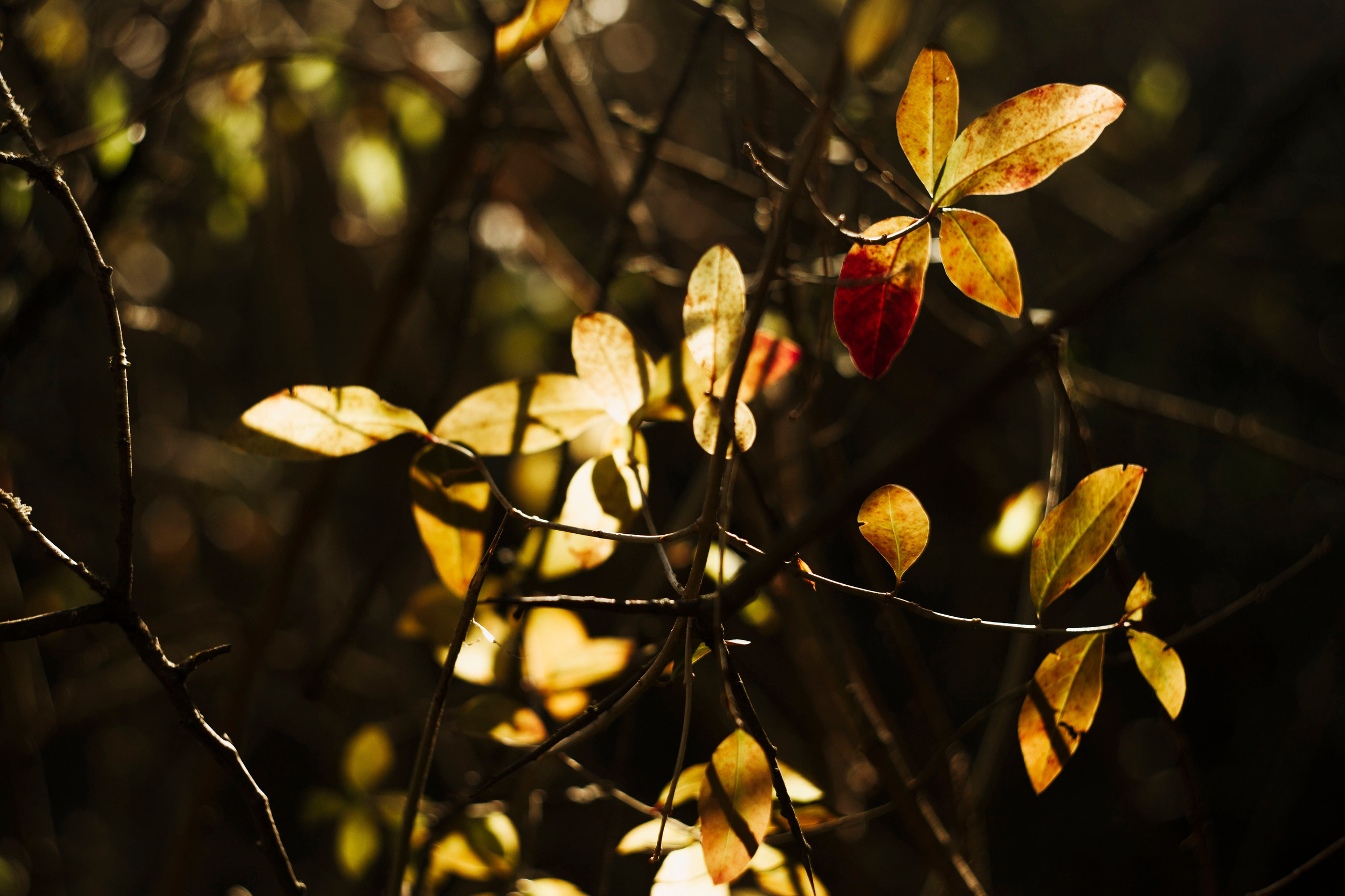 Крым. Ваш портретный фотограф в Москве Катя Прокофьева