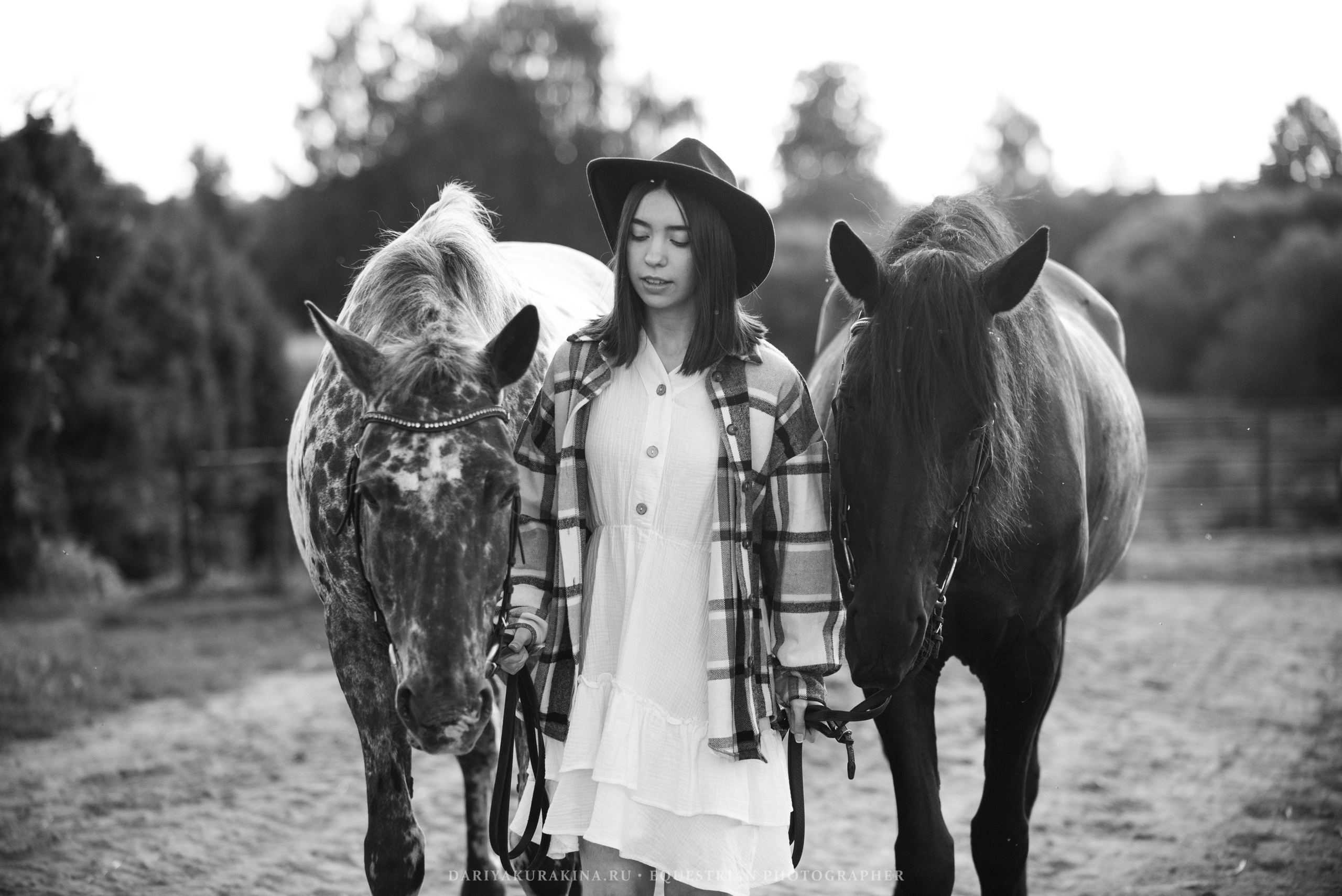 Алиса — Аванпост. Конный фотограф Куракина Дарья • Фотосессии с лошадьми