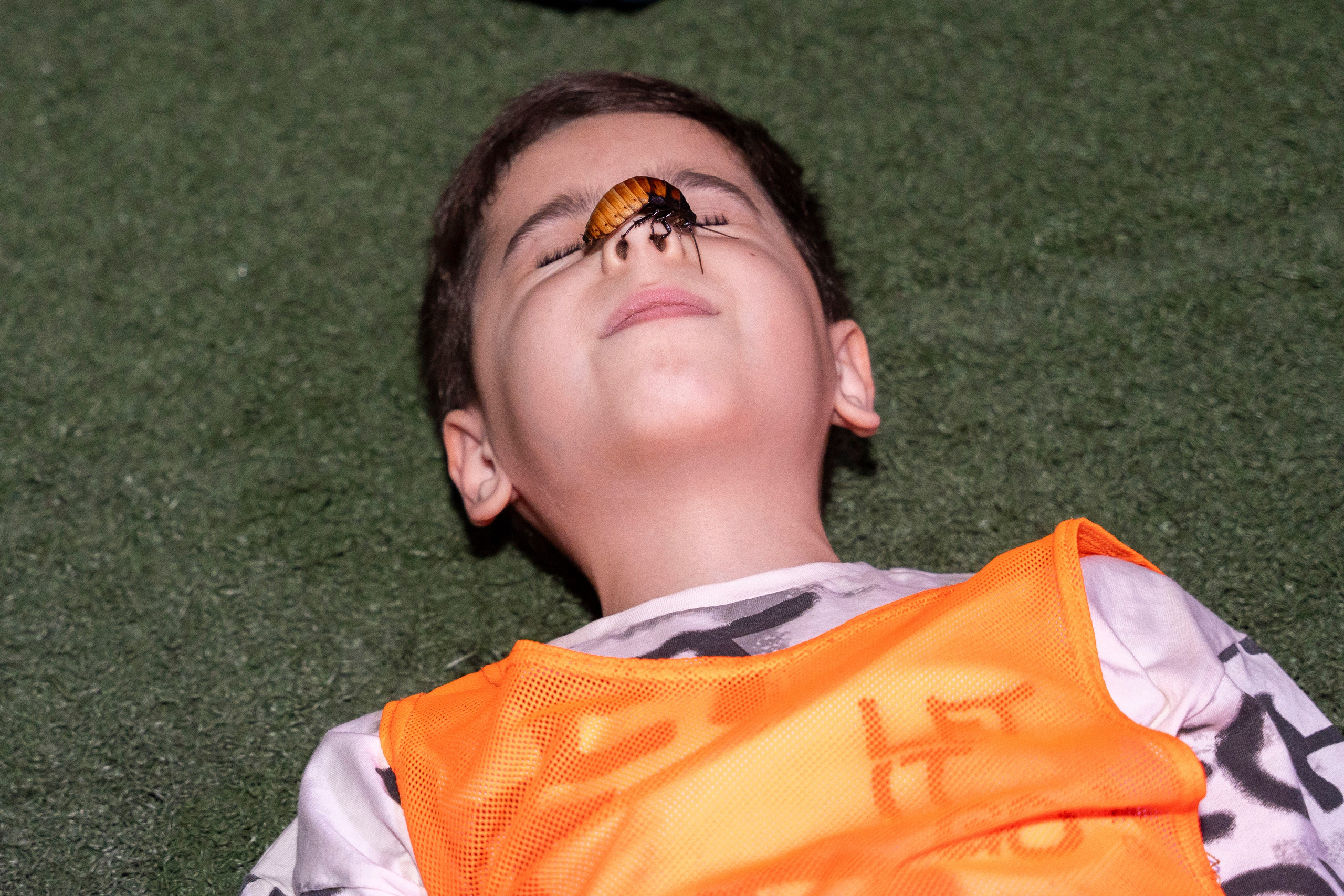 Квесты. Фотограф Юлия Попова