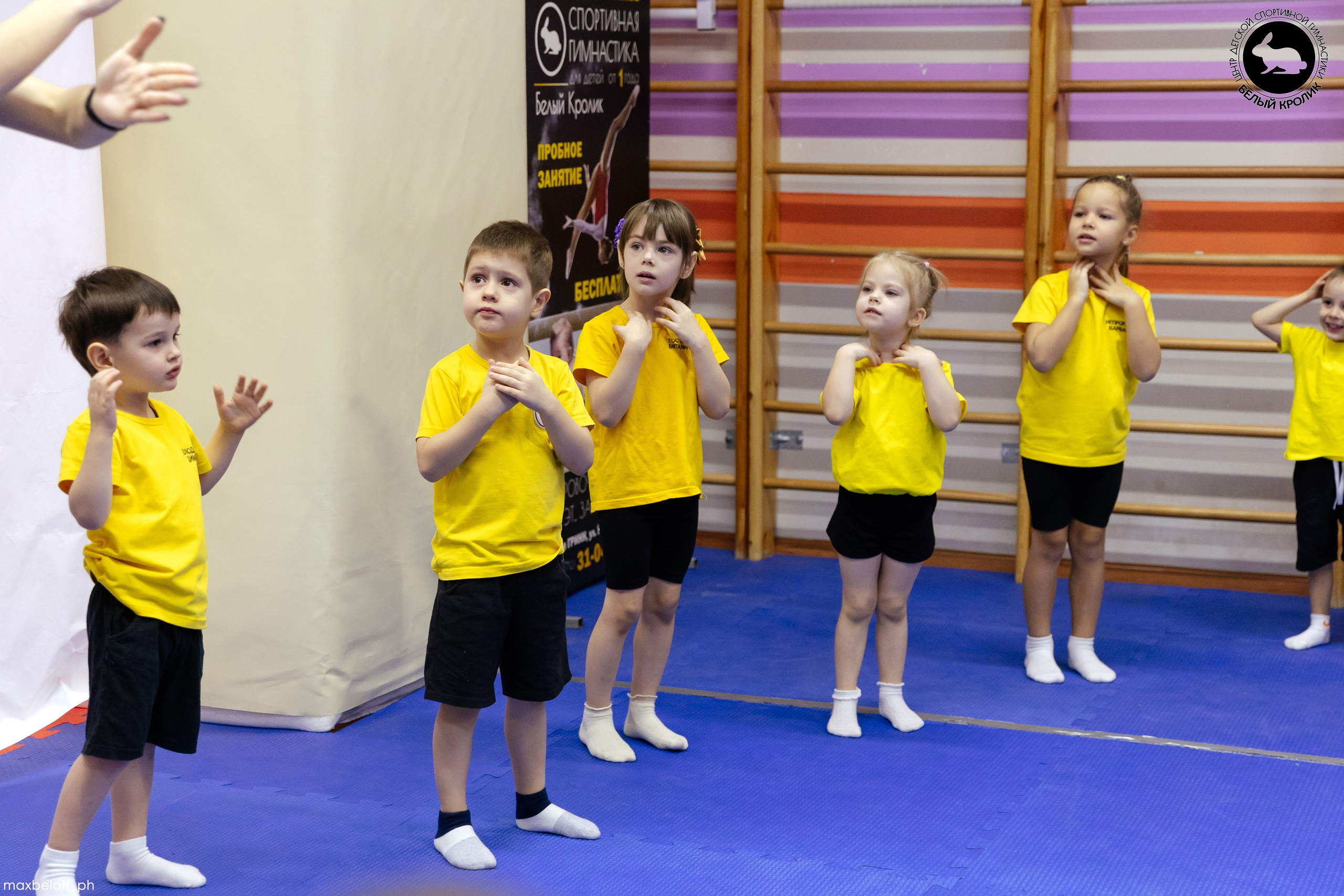 Белый кролик. Соревнования. Семейный фотограф — Макс Белогрудов