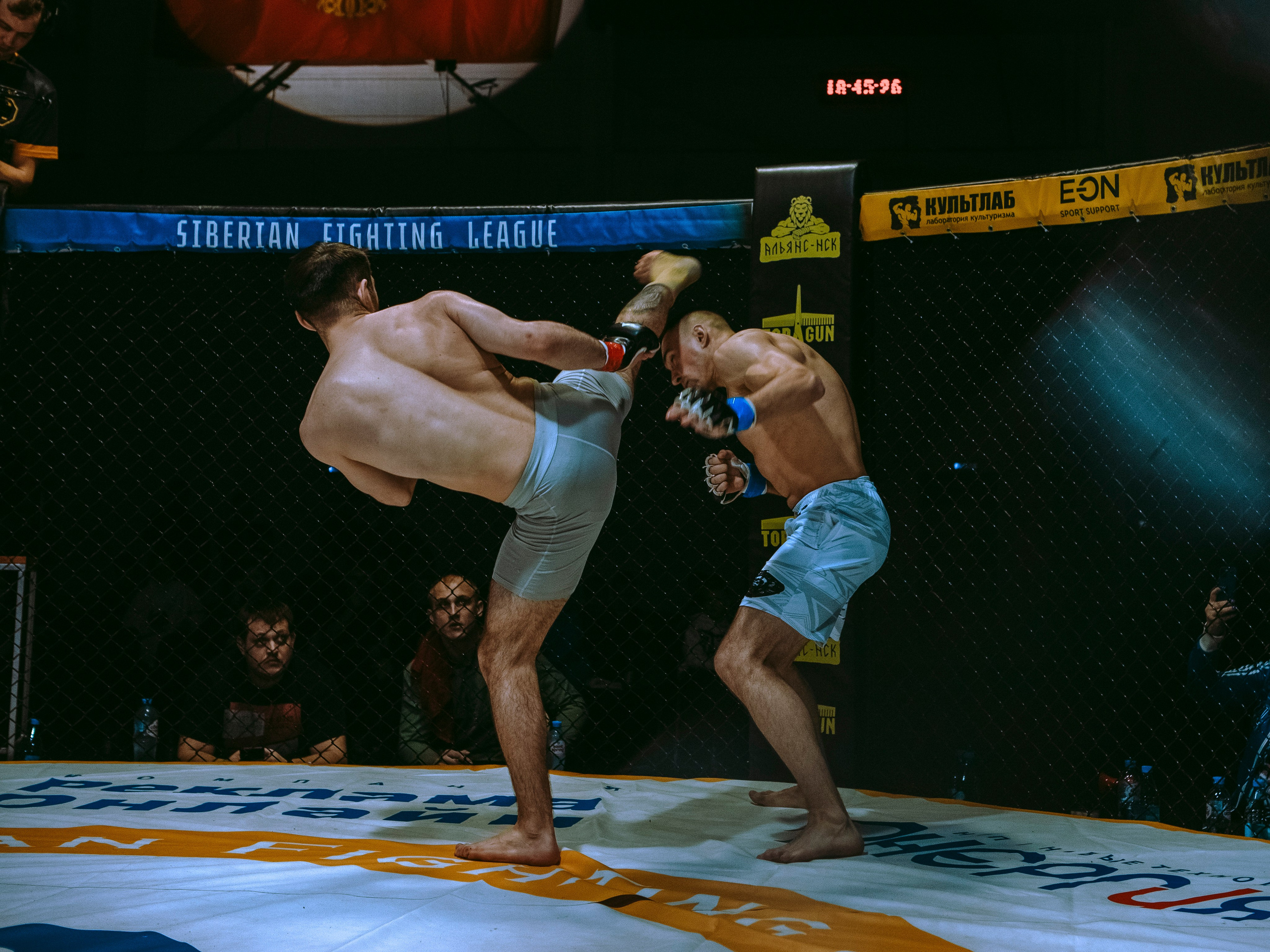 SFL 17 | Siberian Fighting League. Портретный фотограф в Москве Дарья Цезария