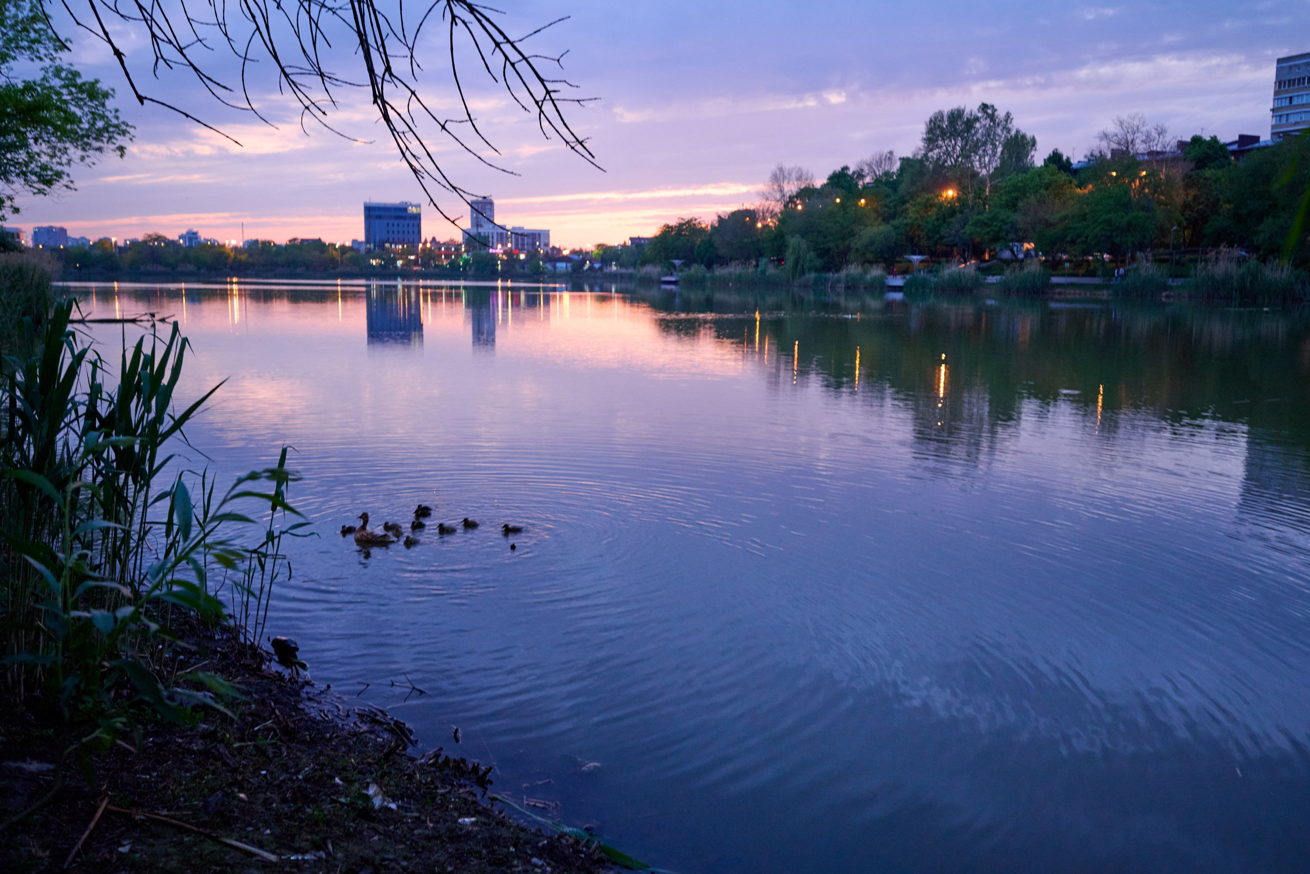 Краснодарский стрит