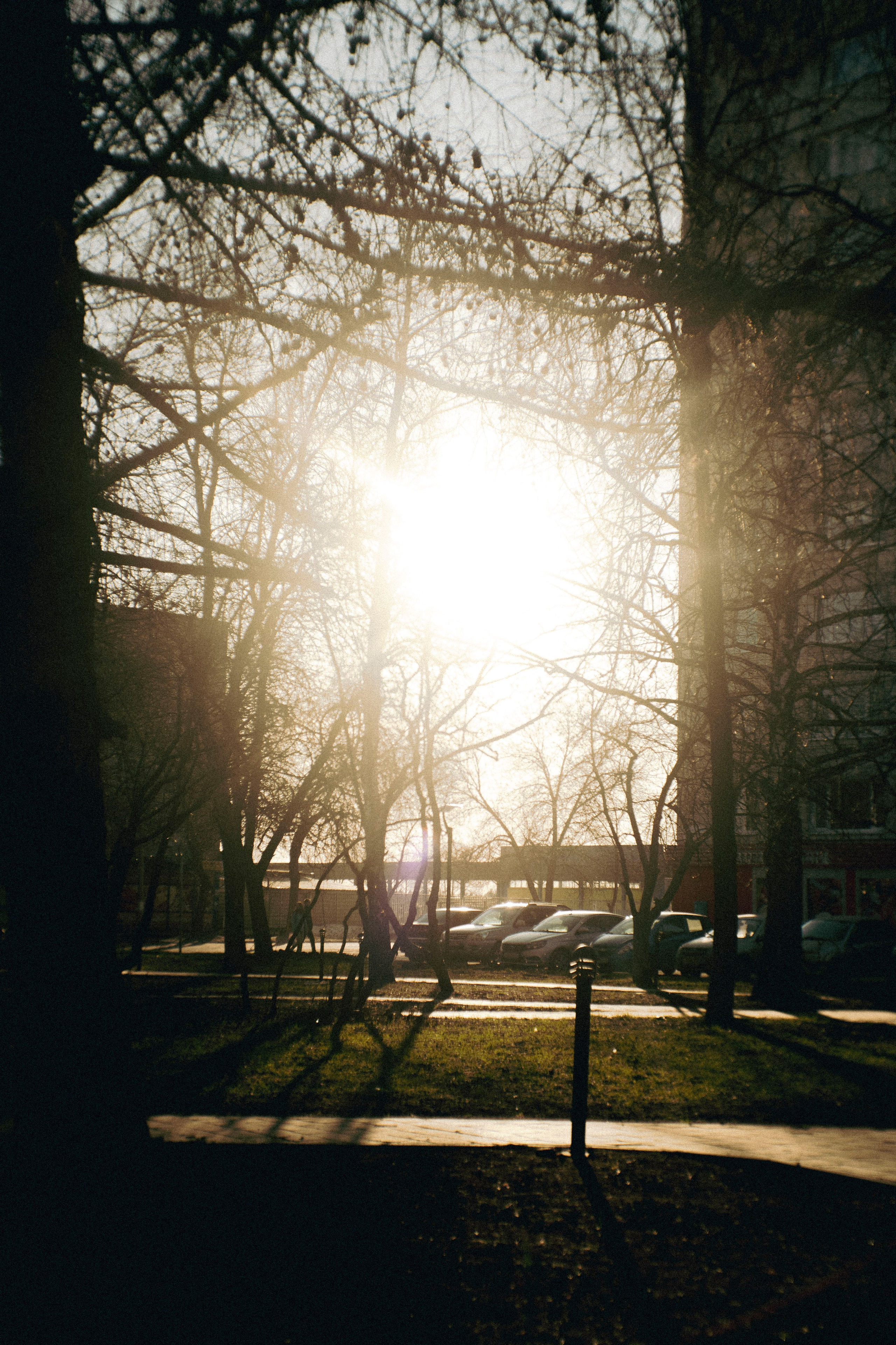 Cranderries. Фотограф Димитровград Казань Валерия Владимиркина