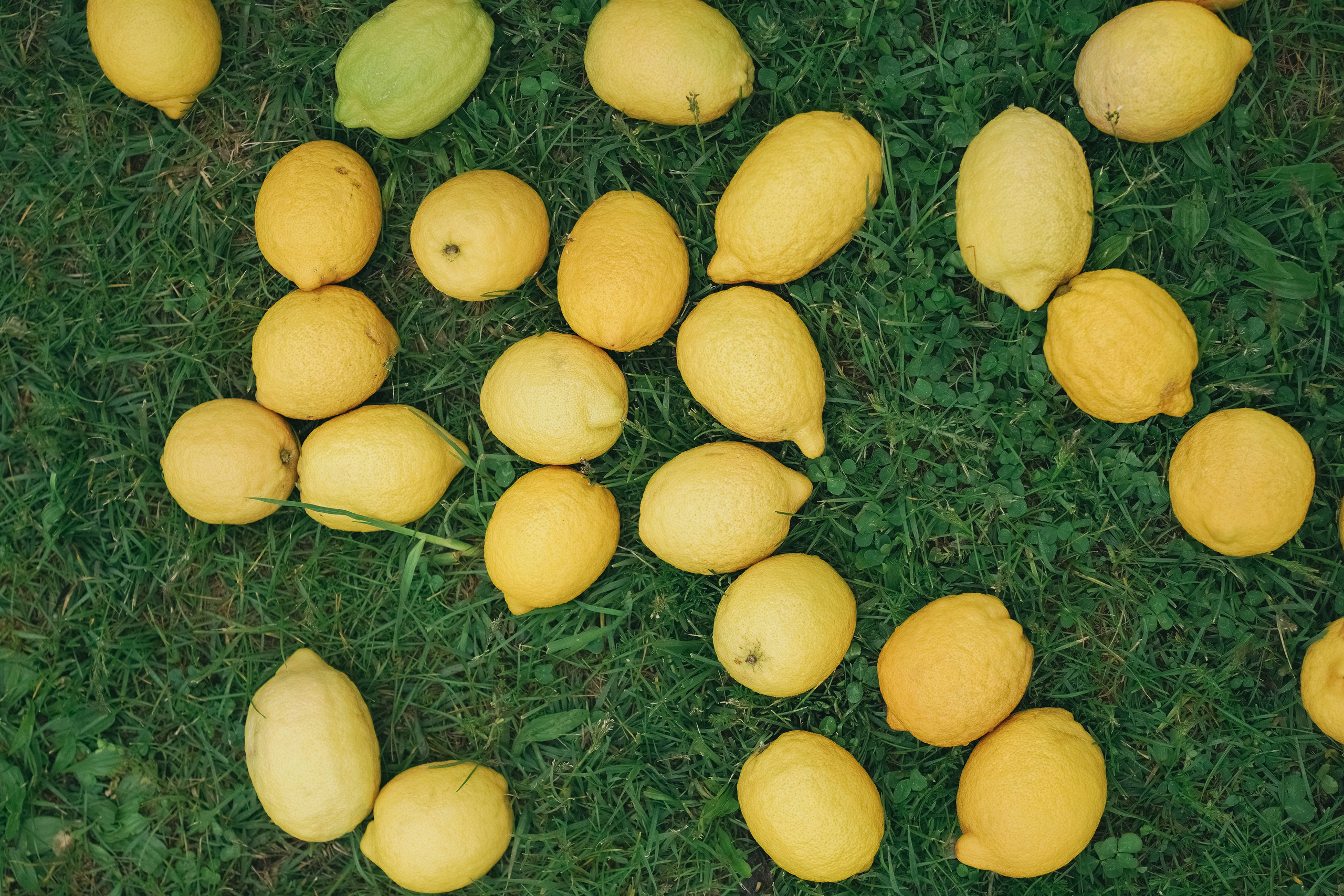Италия. Свадебный и семейный фотограф Афанасьева Анна в Кисловодске