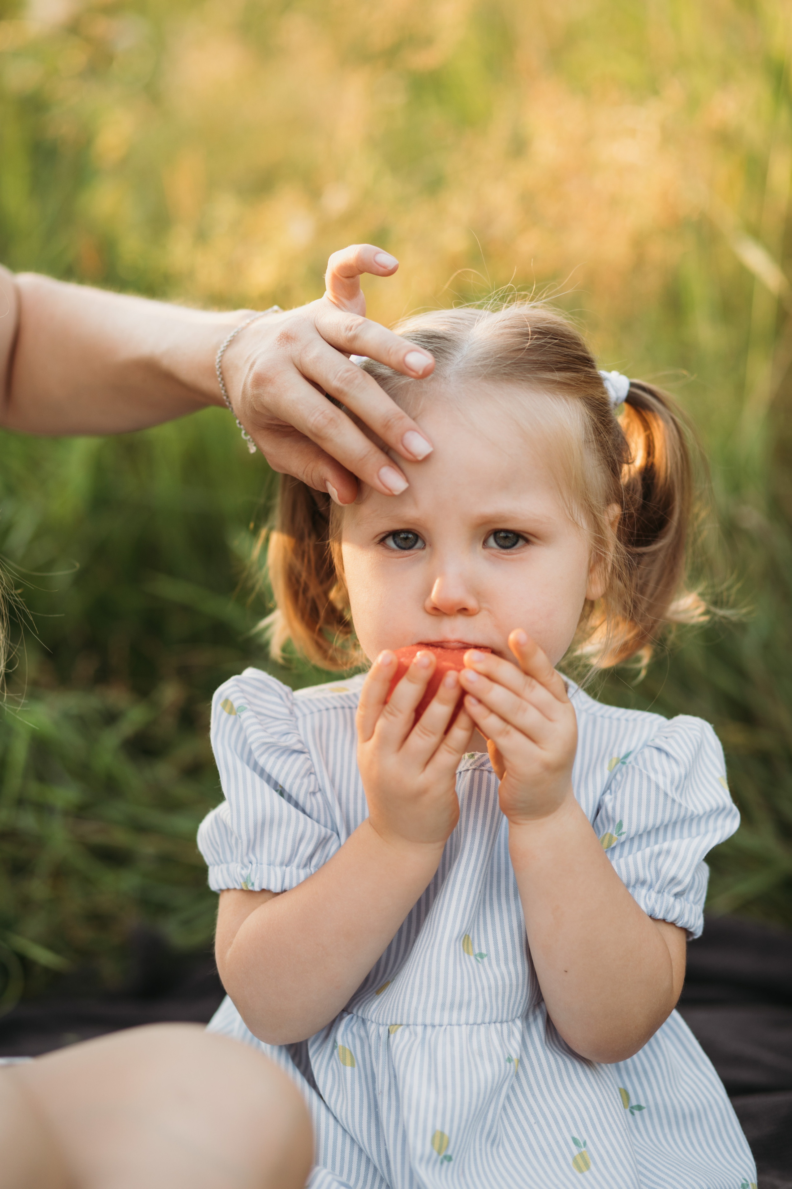Пикник не на обочине. Свадебный фотограф в Москве Аля Загирова