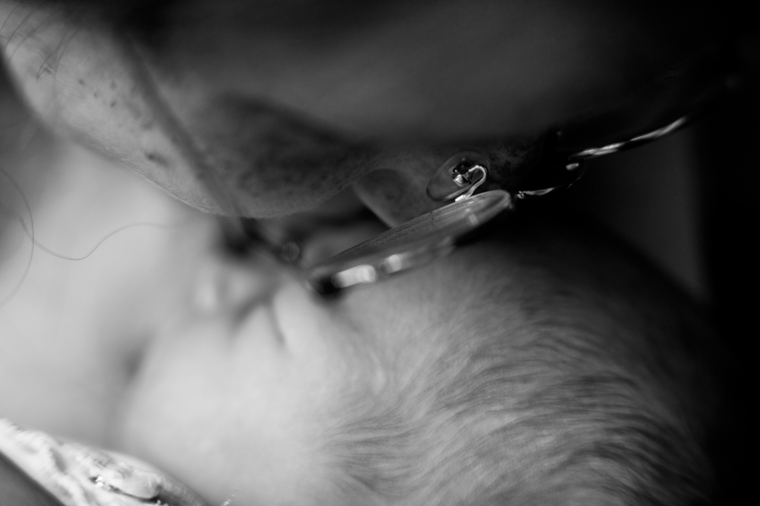 Номер три. Свадебный фотограф в Москве Аля Загирова