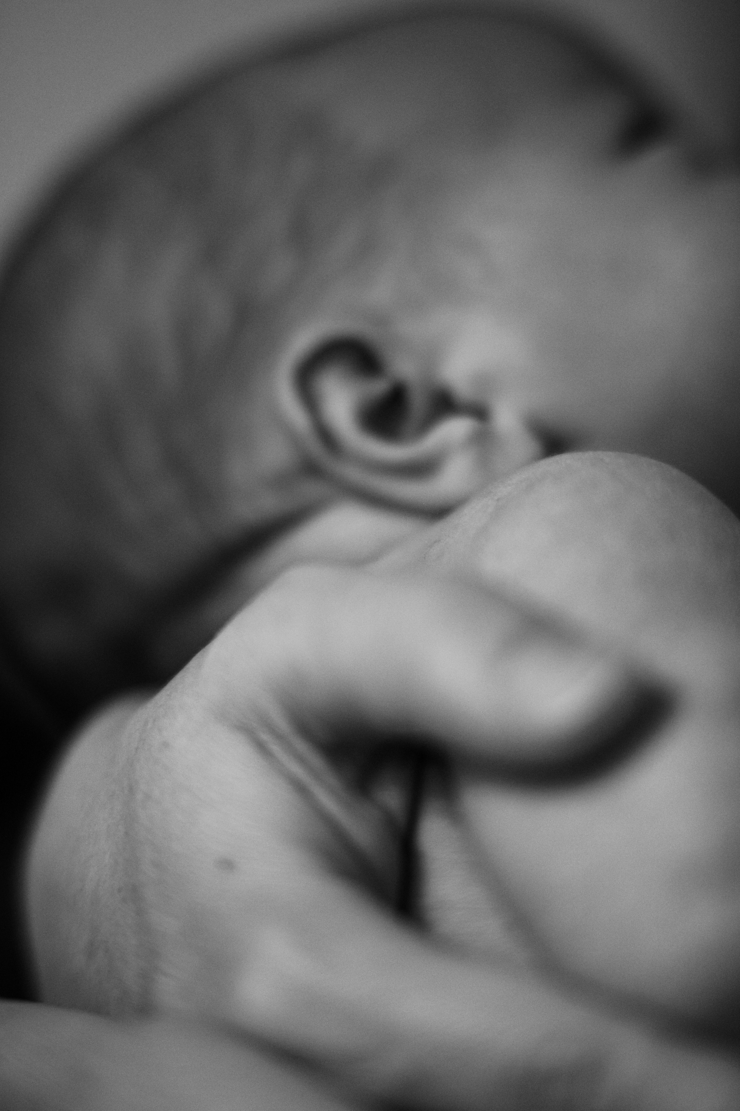 Номер три. Свадебный фотограф в Москве Аля Загирова