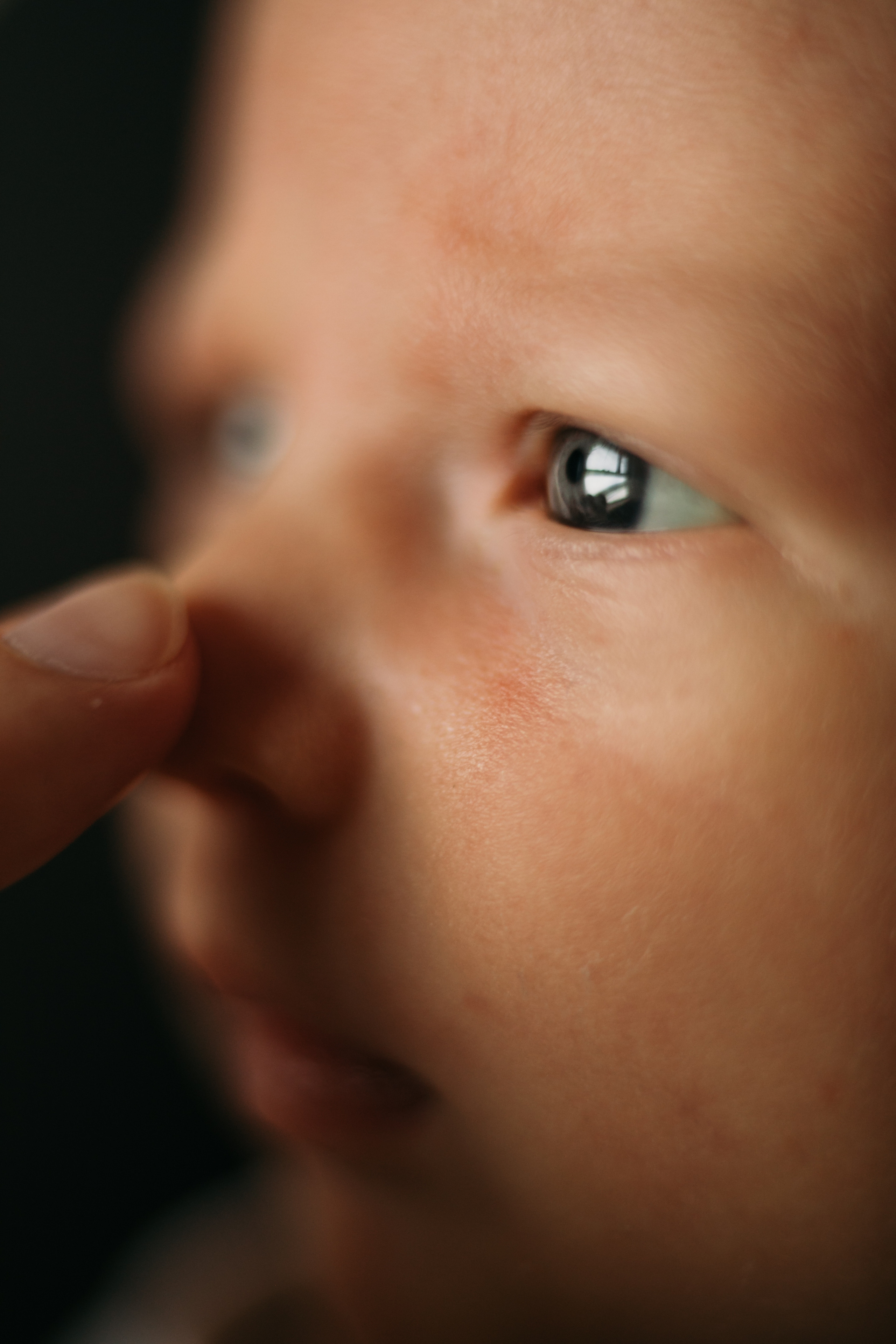 Малыш и пёс. Свадебный фотограф в Москве Аля Загирова