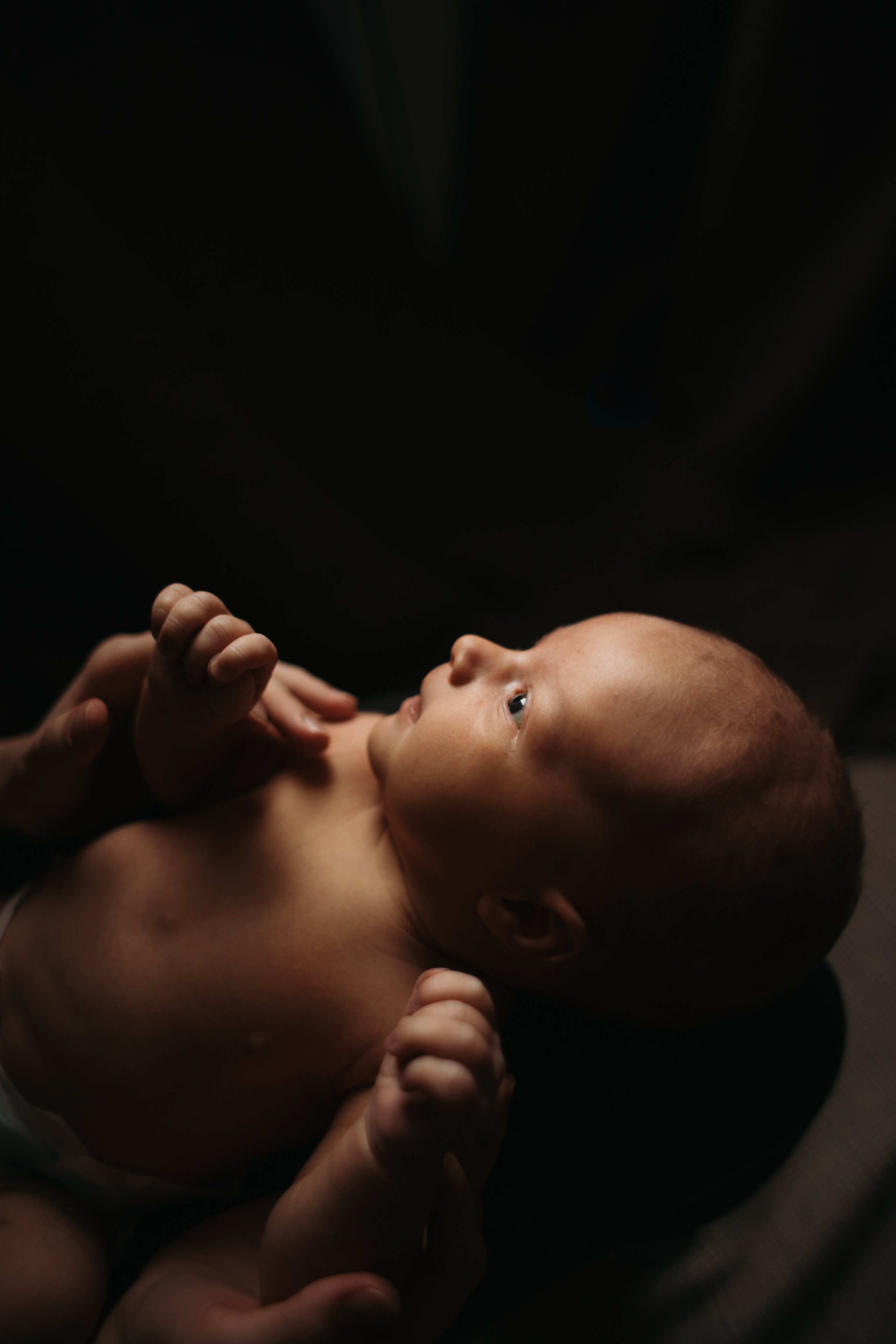 Малыш и пёс. Свадебный фотограф в Москве Аля Загирова