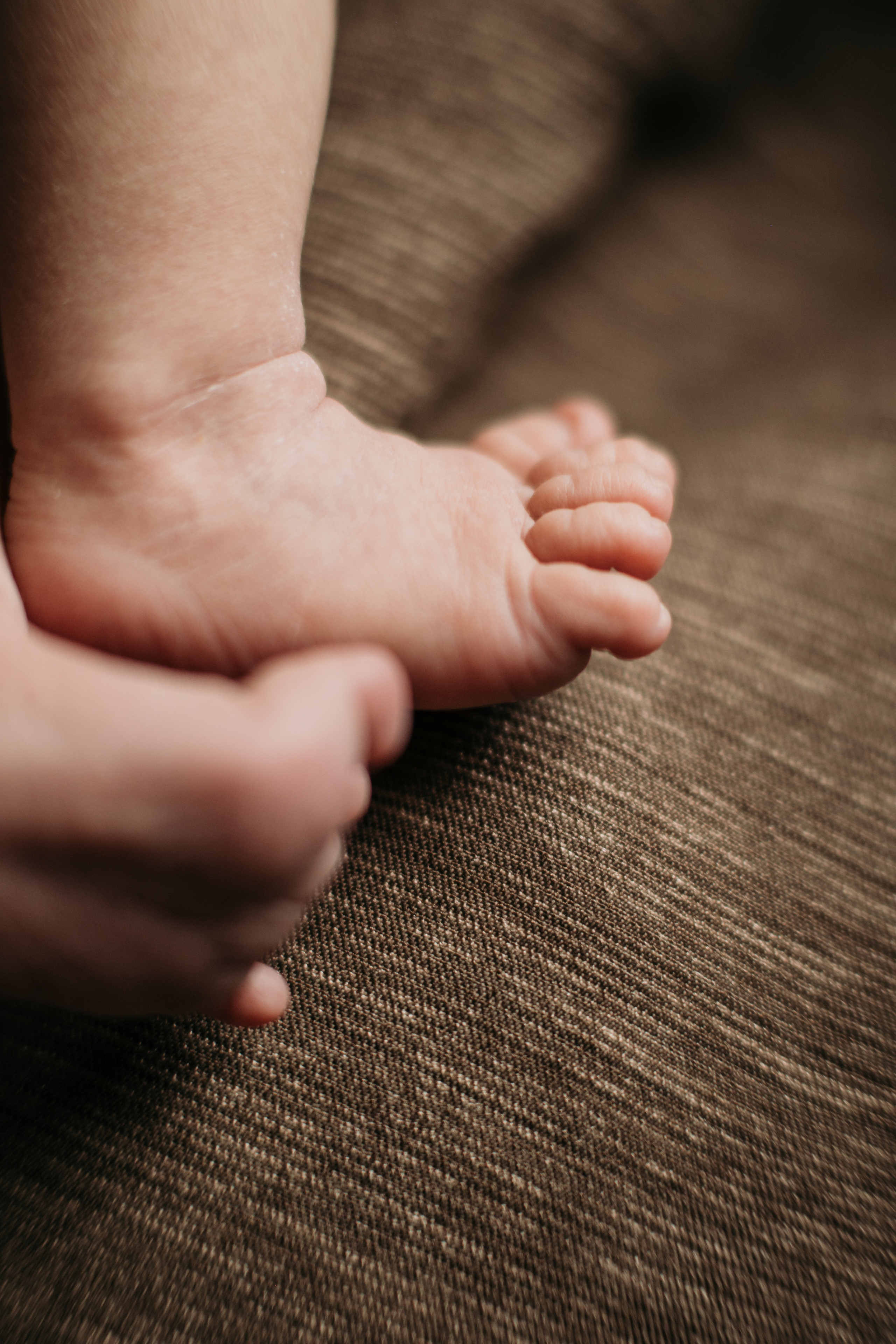 Малыш и пёс. Свадебный фотограф в Москве Аля Загирова