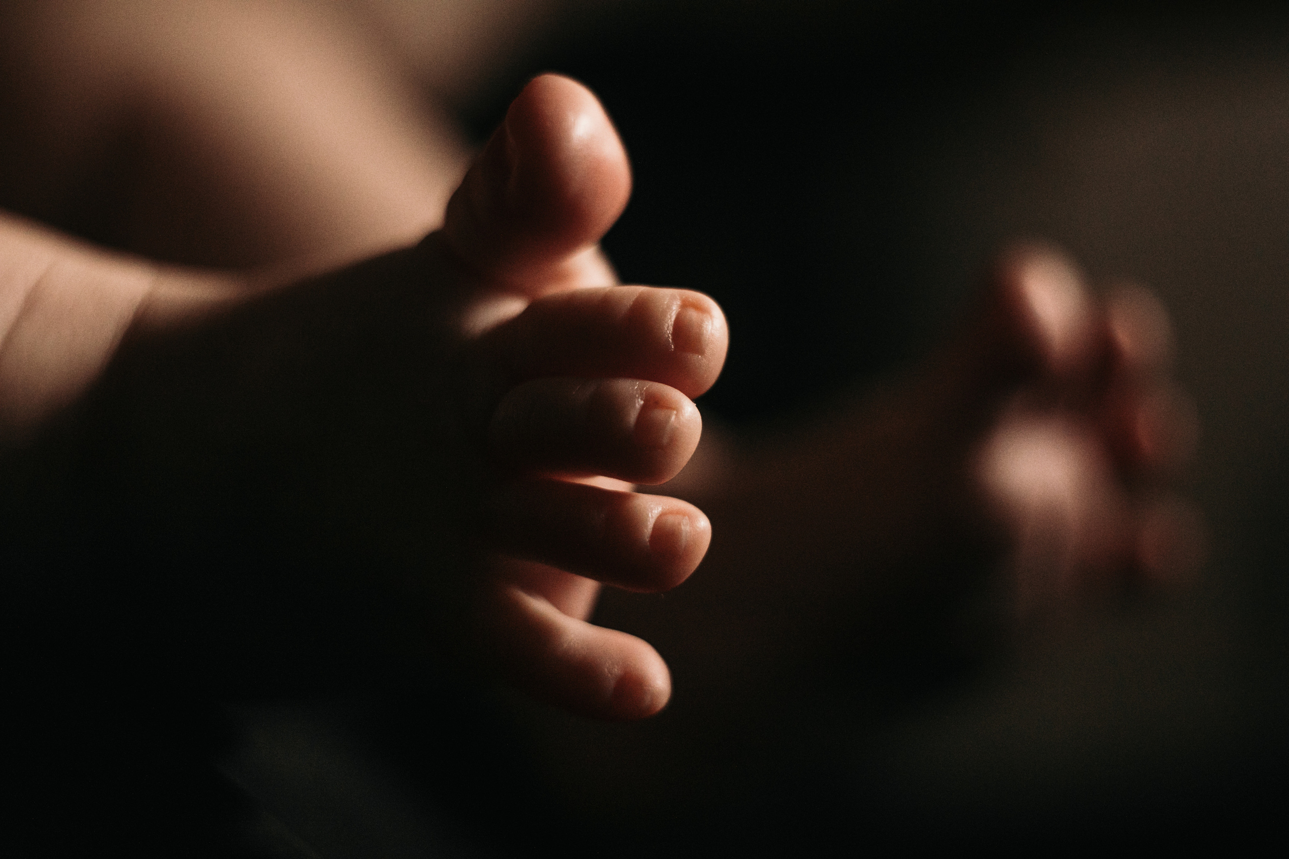 Baby in black. Свадебный фотограф в Москве Аля Загирова