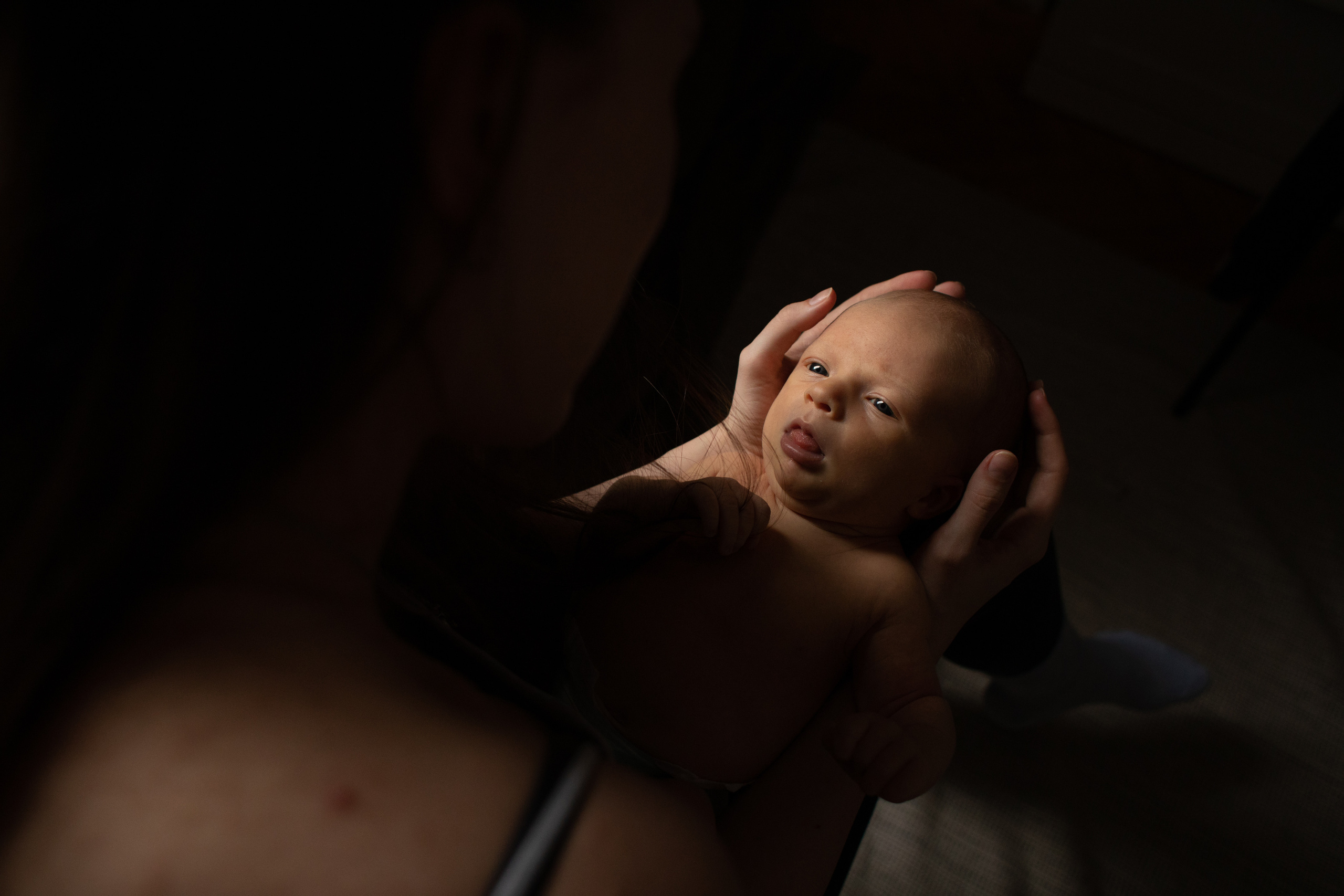 Малыш и пёс. Свадебный фотограф в Москве Аля Загирова