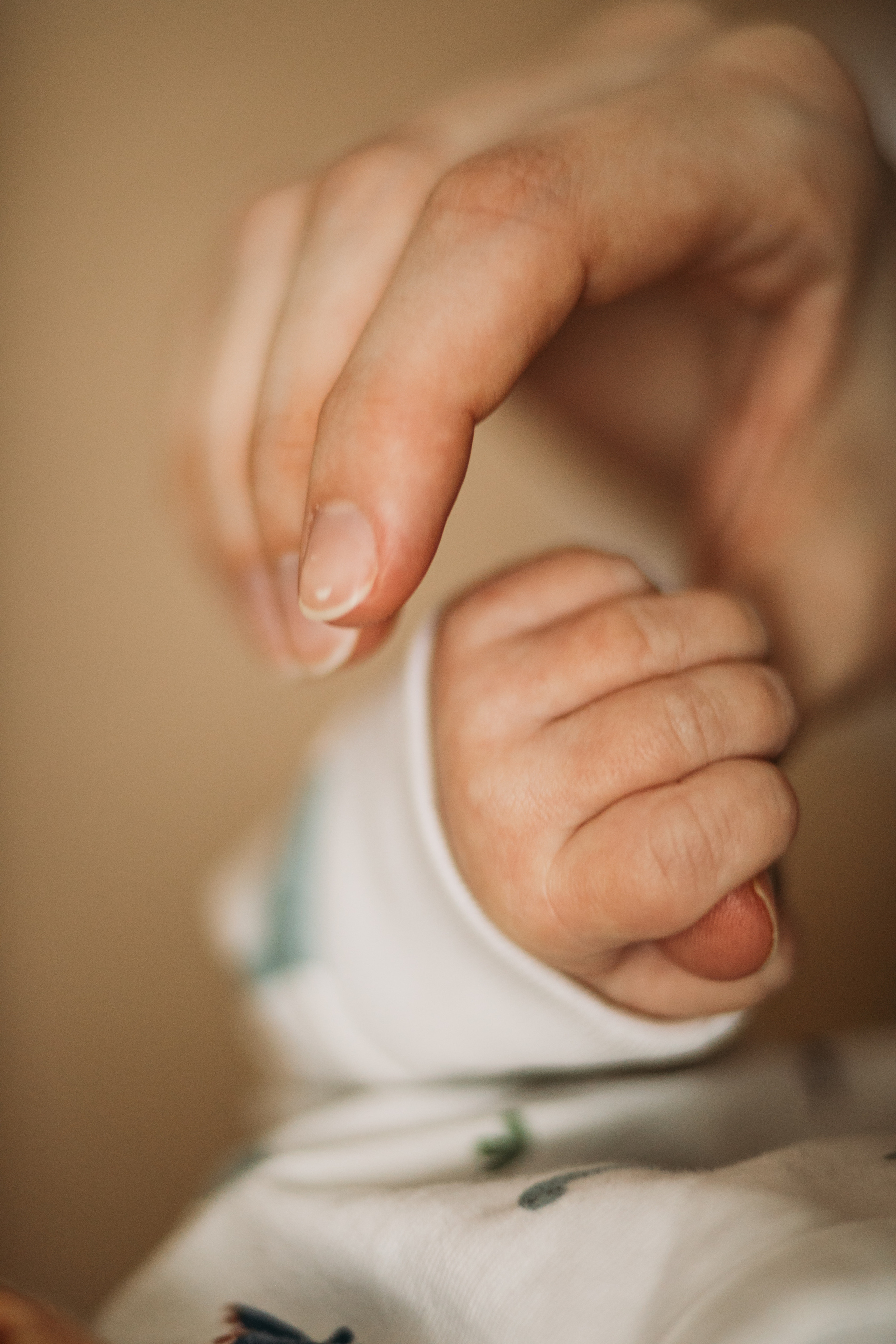 Малыш и пёс. Свадебный фотограф в Москве Аля Загирова