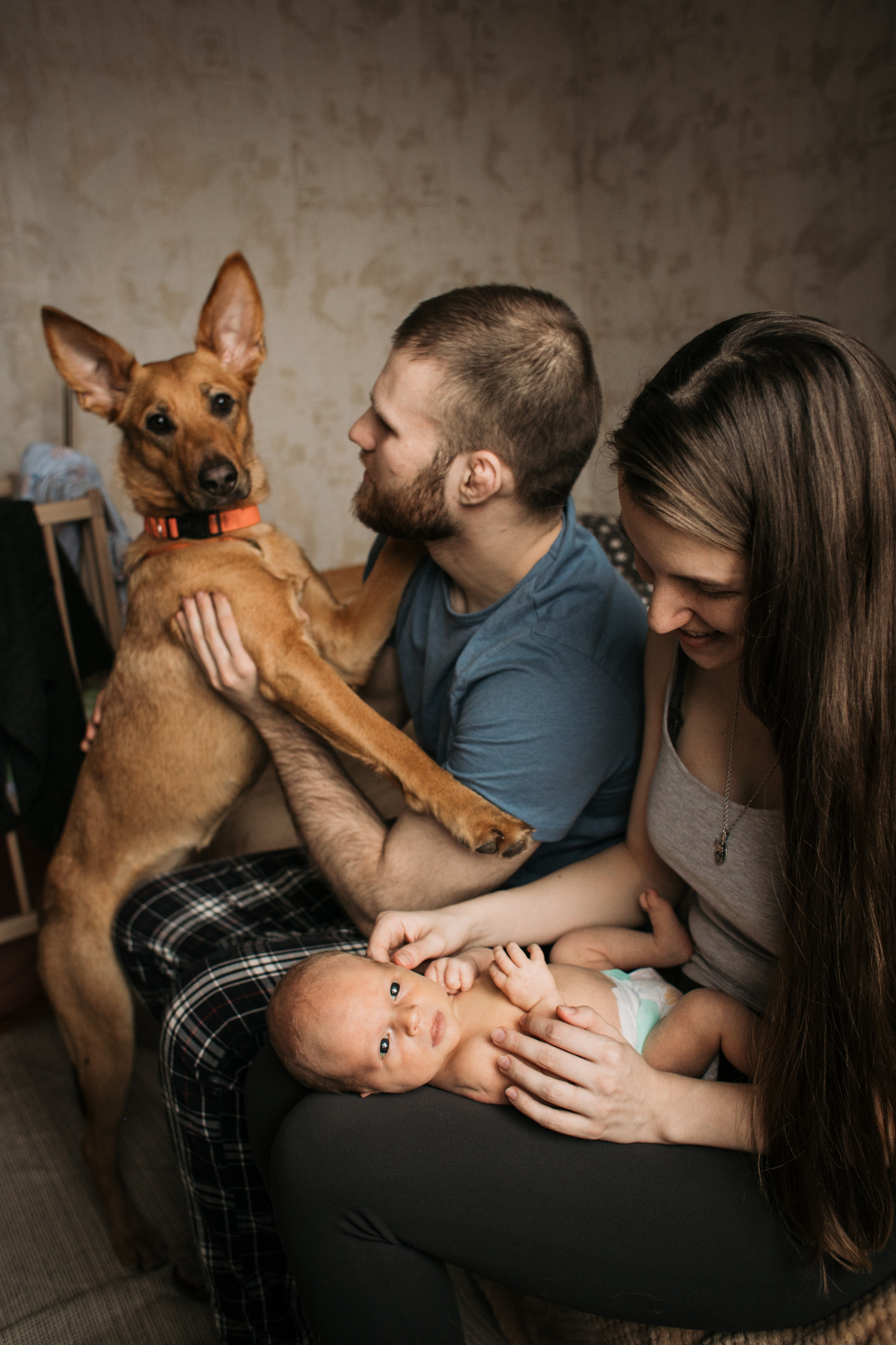 Малыш и пёс. Свадебный фотограф в Москве Аля Загирова