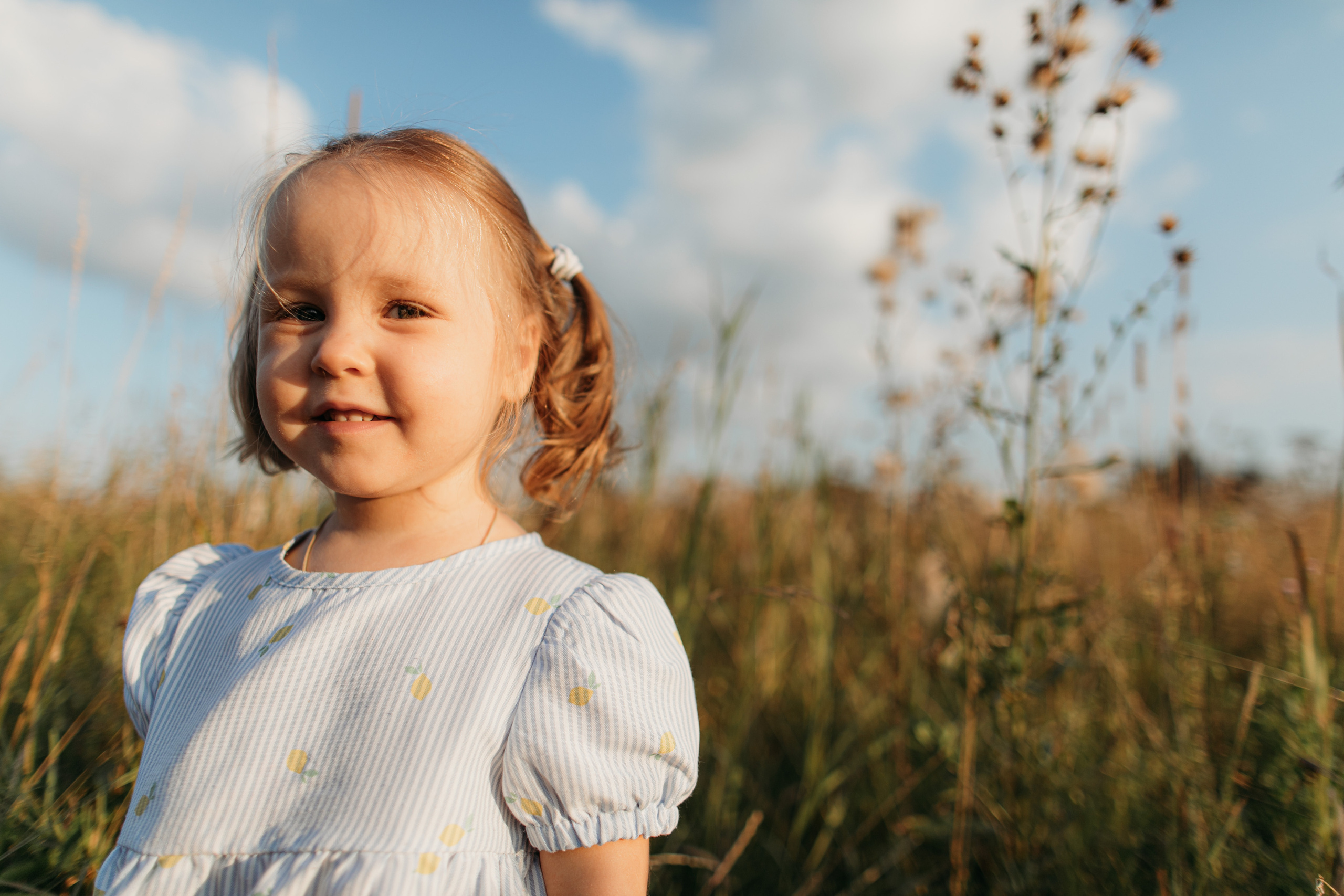 Пикник не на обочине. Свадебный фотограф в Москве Аля Загирова