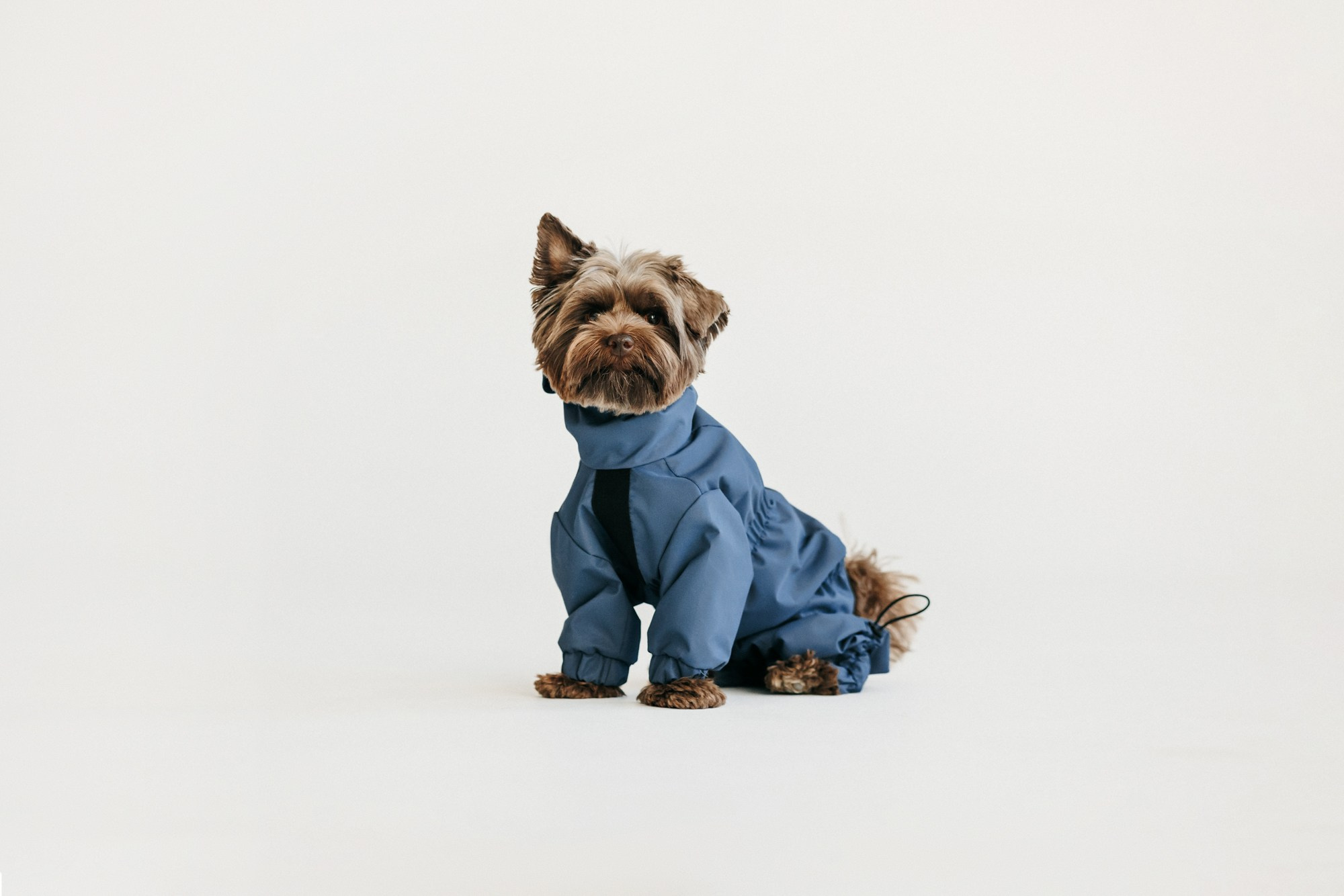 Одежда Lapa`s brand. Фотограф-анималист Елена Радченко, Москва