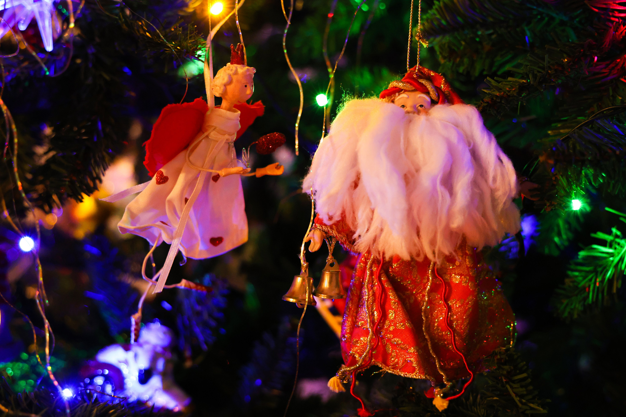 Christmas tree. Portrait photographer based in Toronto — Blinova Mariia