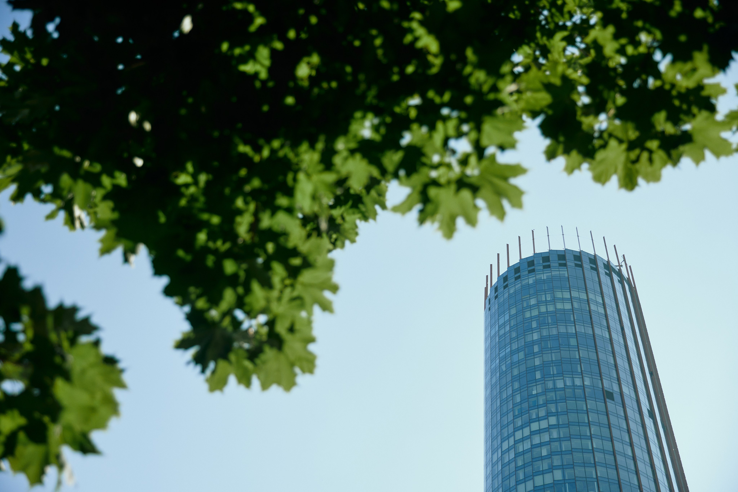 THE GOLDEN CRUMB. Дмитрий Мазуркевич: Профессиональный Репортажный Фотограф