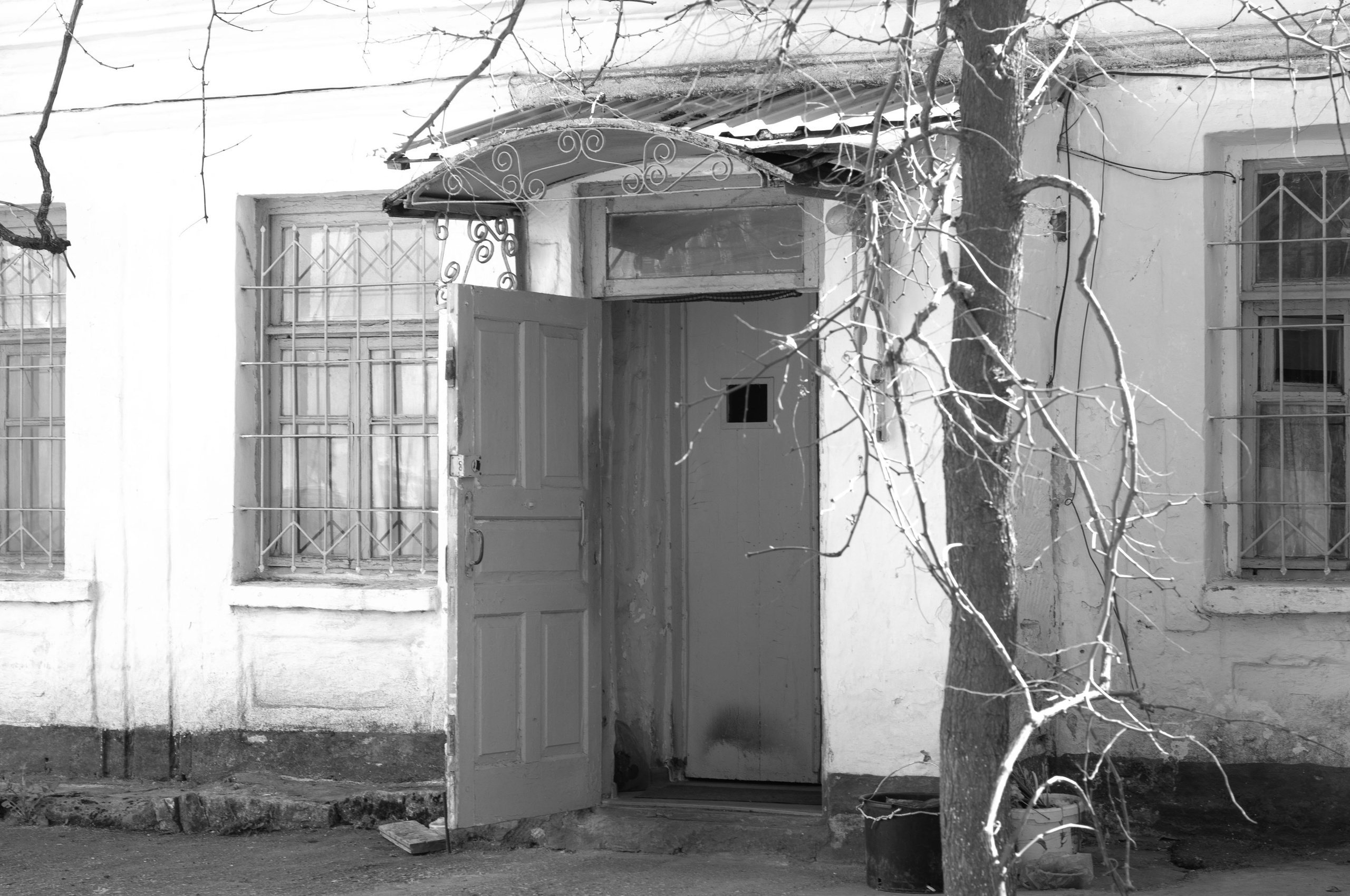 Для души. Сейчас вылетит ПТИЧКА! Фотосессии в Керчи