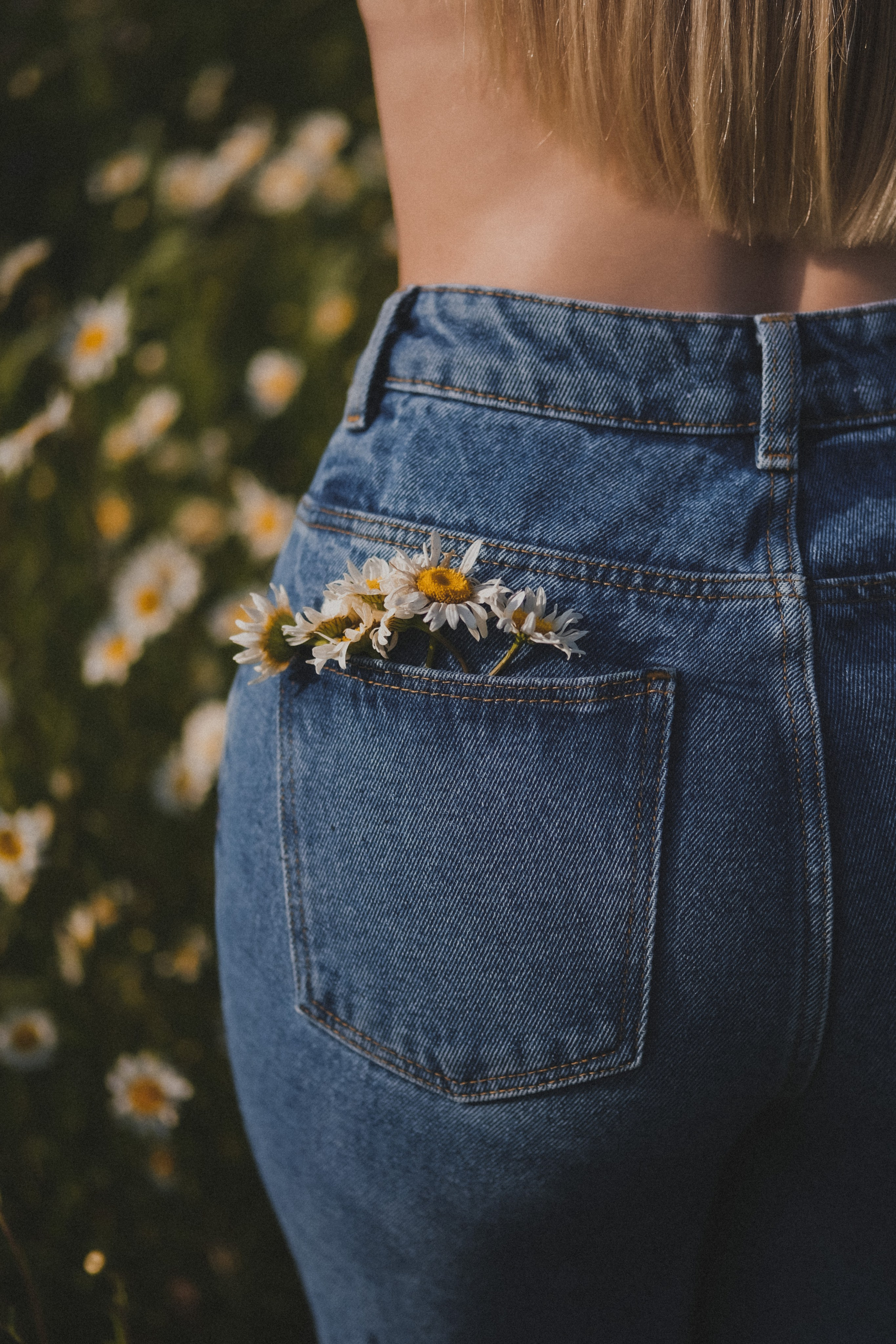 Ромашки. Фотограф и контентмейкер Света Лето | Москва, МО