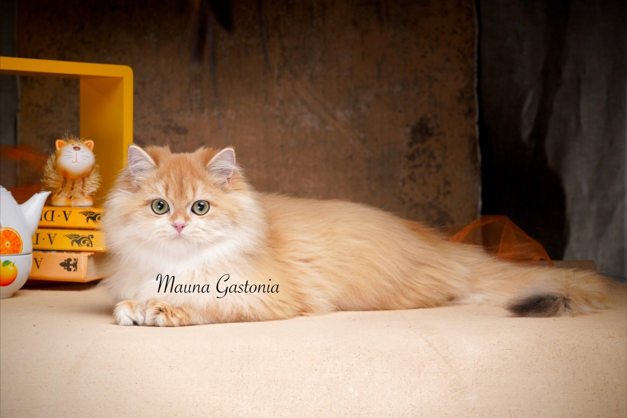 Germes. Mauna Gastonia