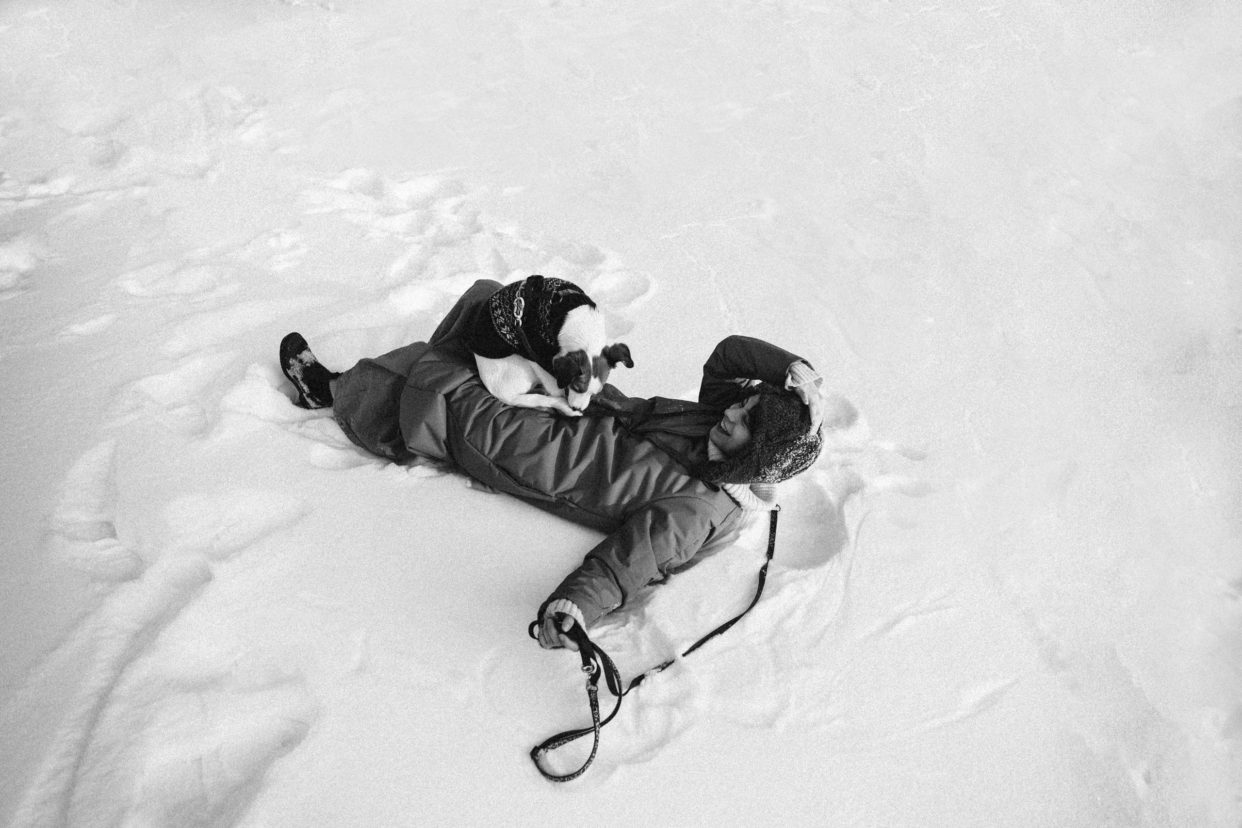 Лика и Клео. Свадебный фотограф Оля Григунова