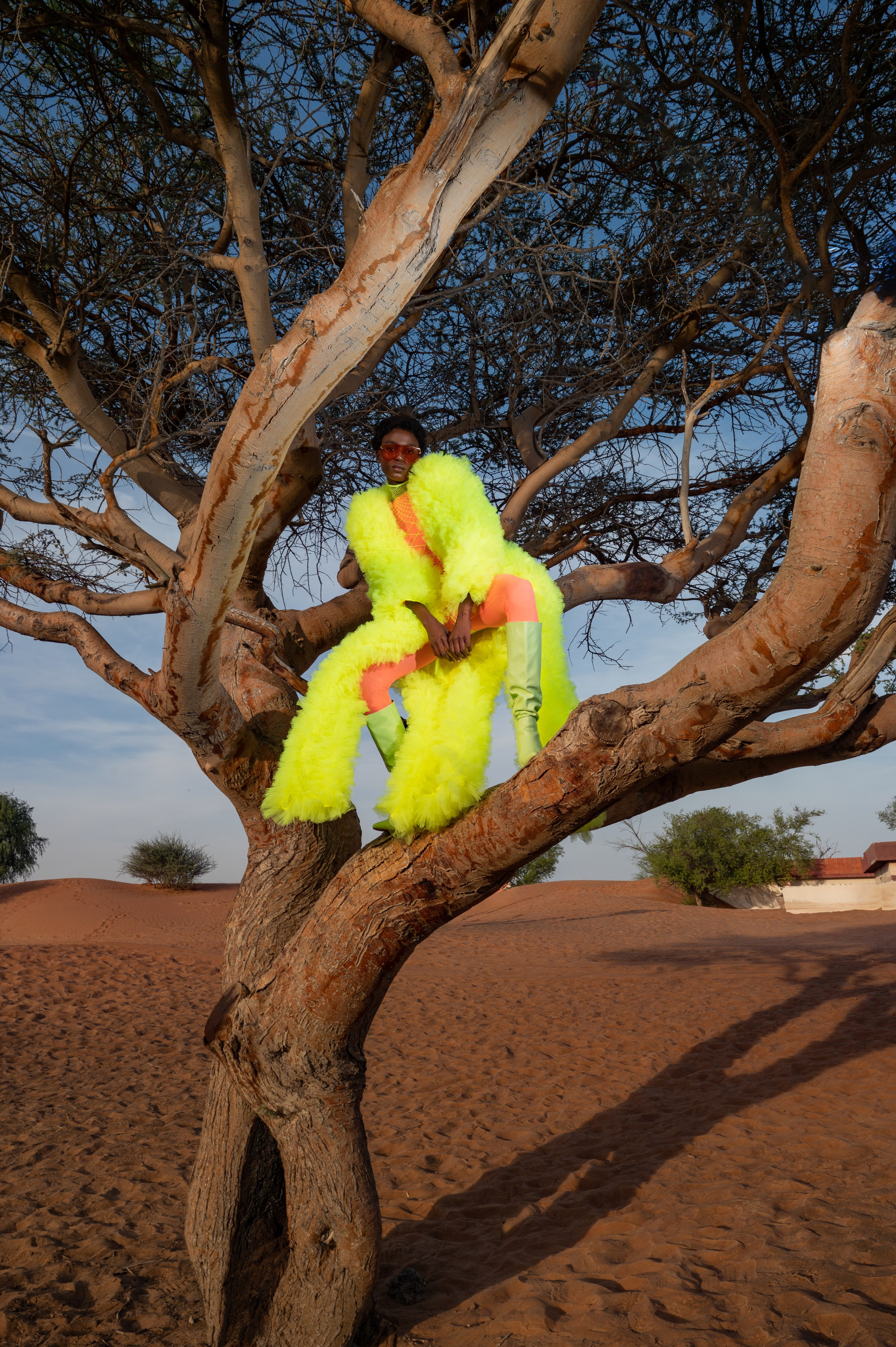 Fairy bird. Коммерческий фотограф Москва /Дубай, эксклюзивные фэшн фотосессии