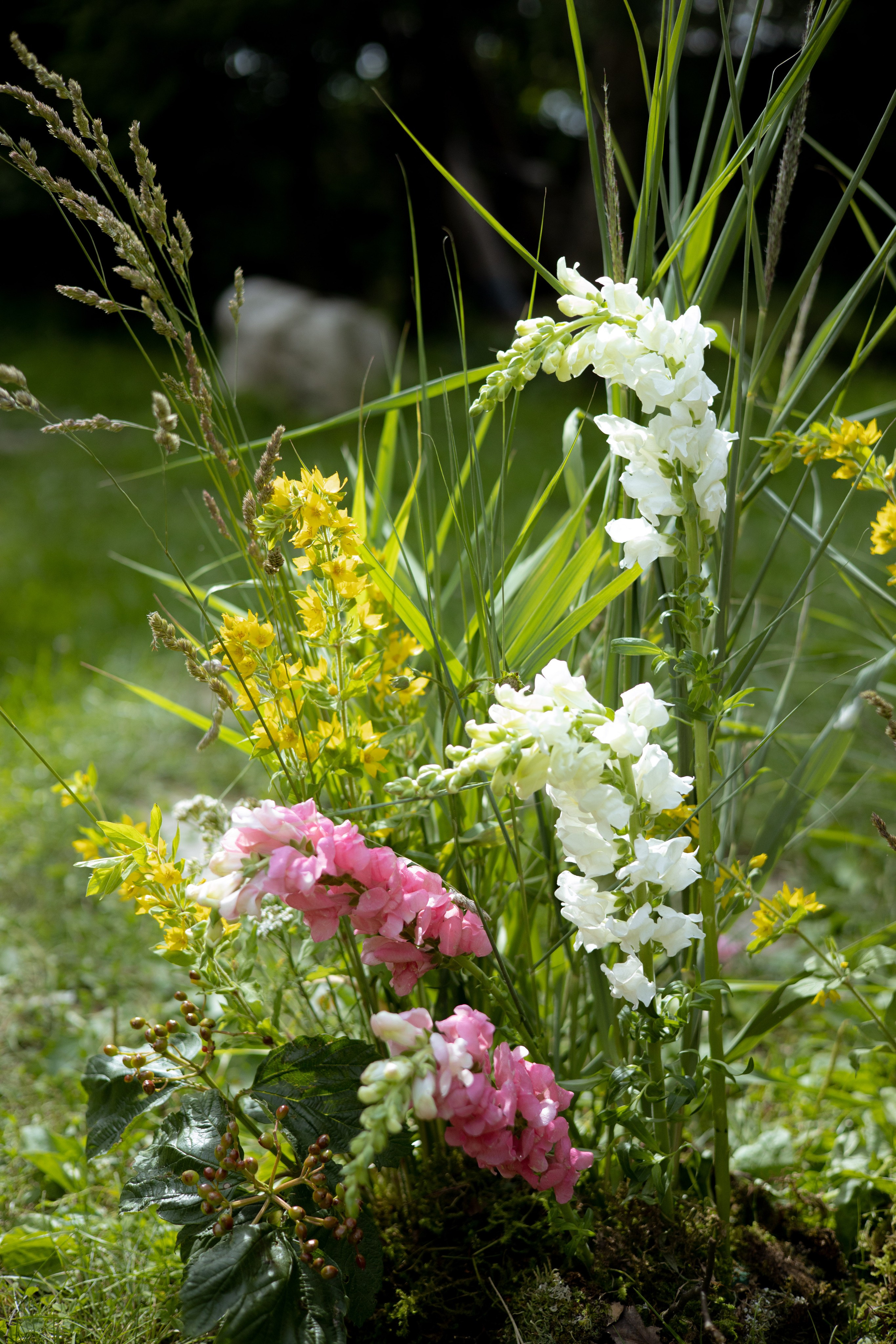 Павел & Полина. Оформление свадеб, декор свадеб Вера Маркова, Москва