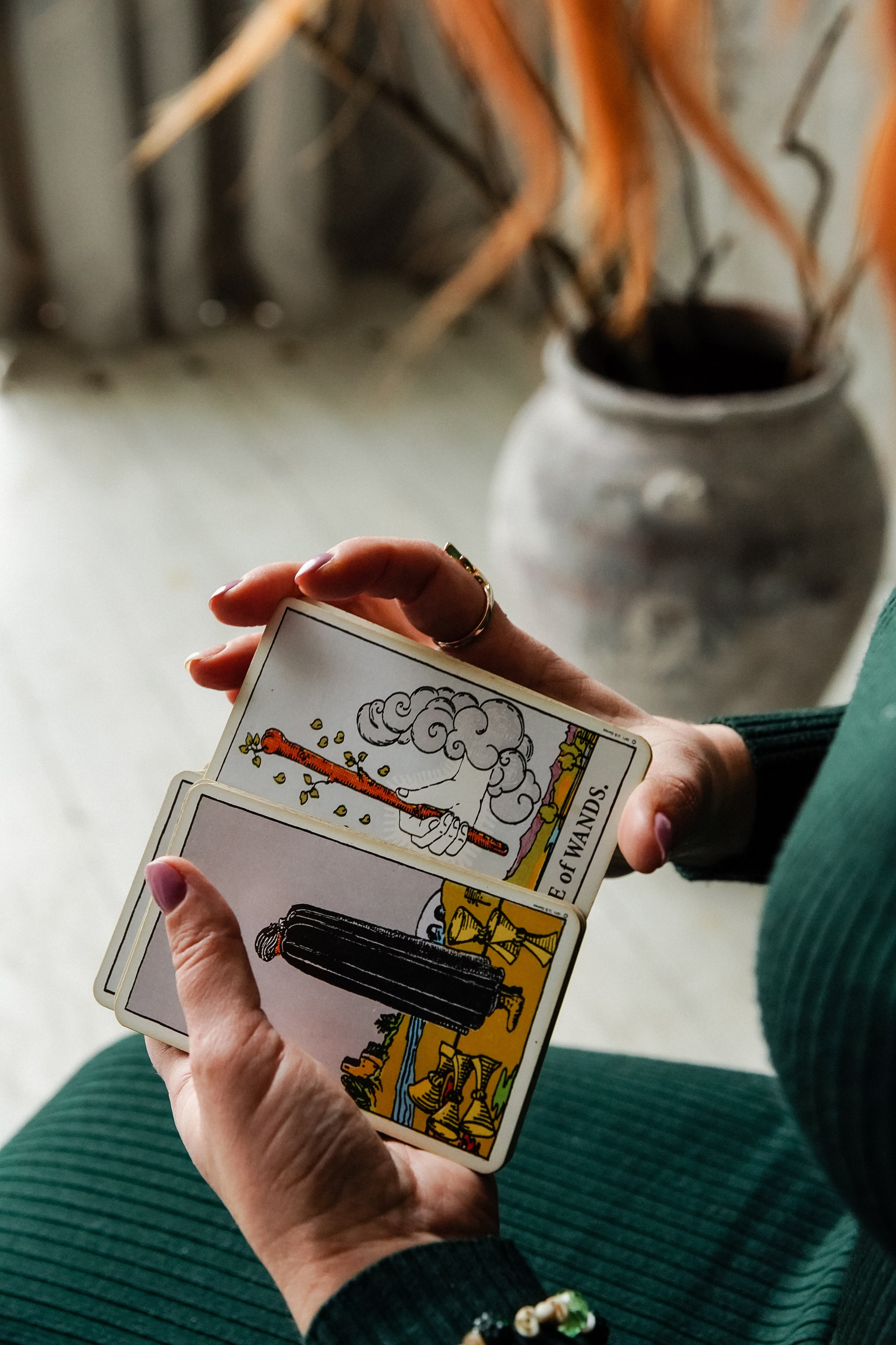 Tarology. AMODEO STUDIO