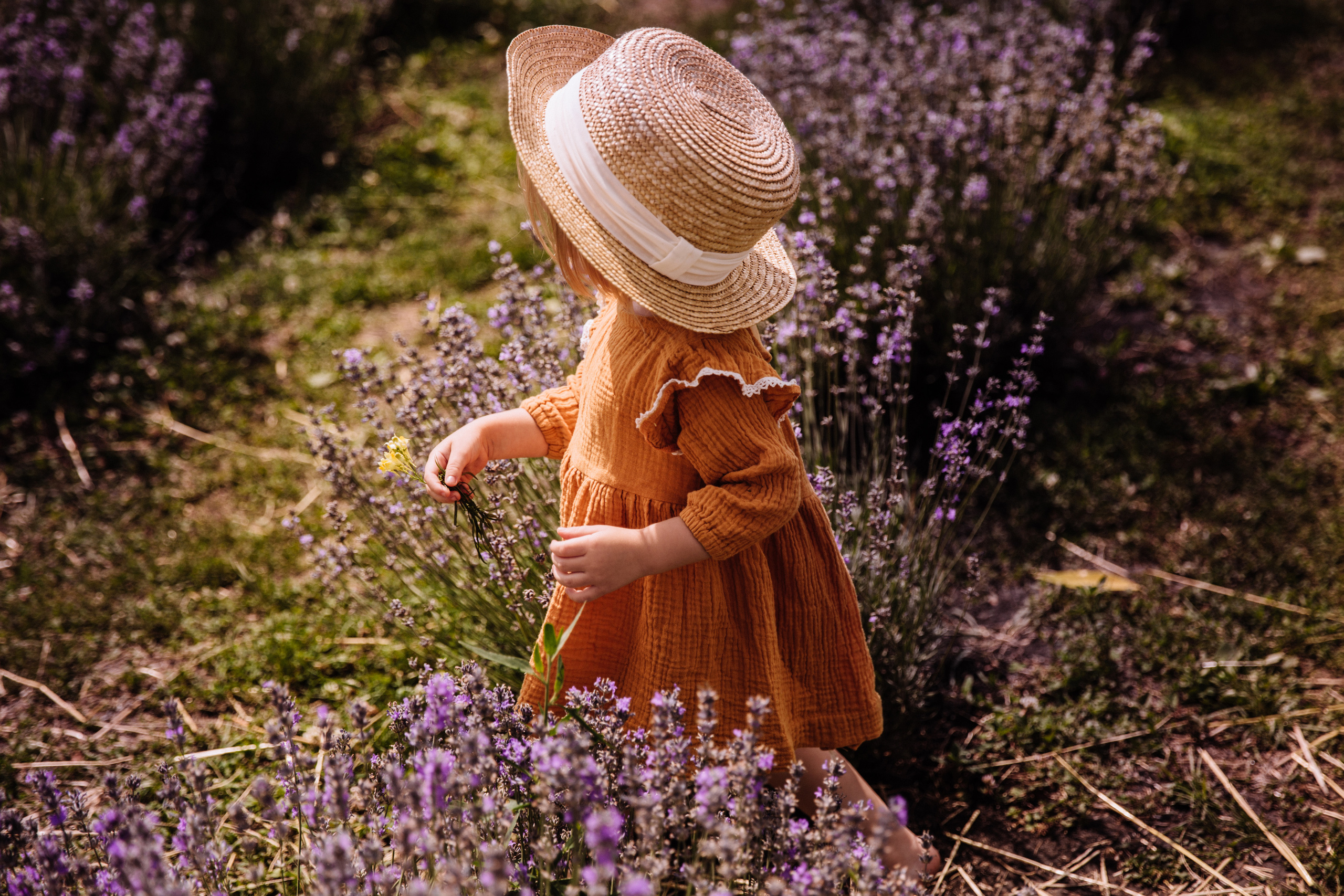 Алисёнок и лаванда. Персональный, семейный и портретный фотограф в Воронеже Майя Яхонтова