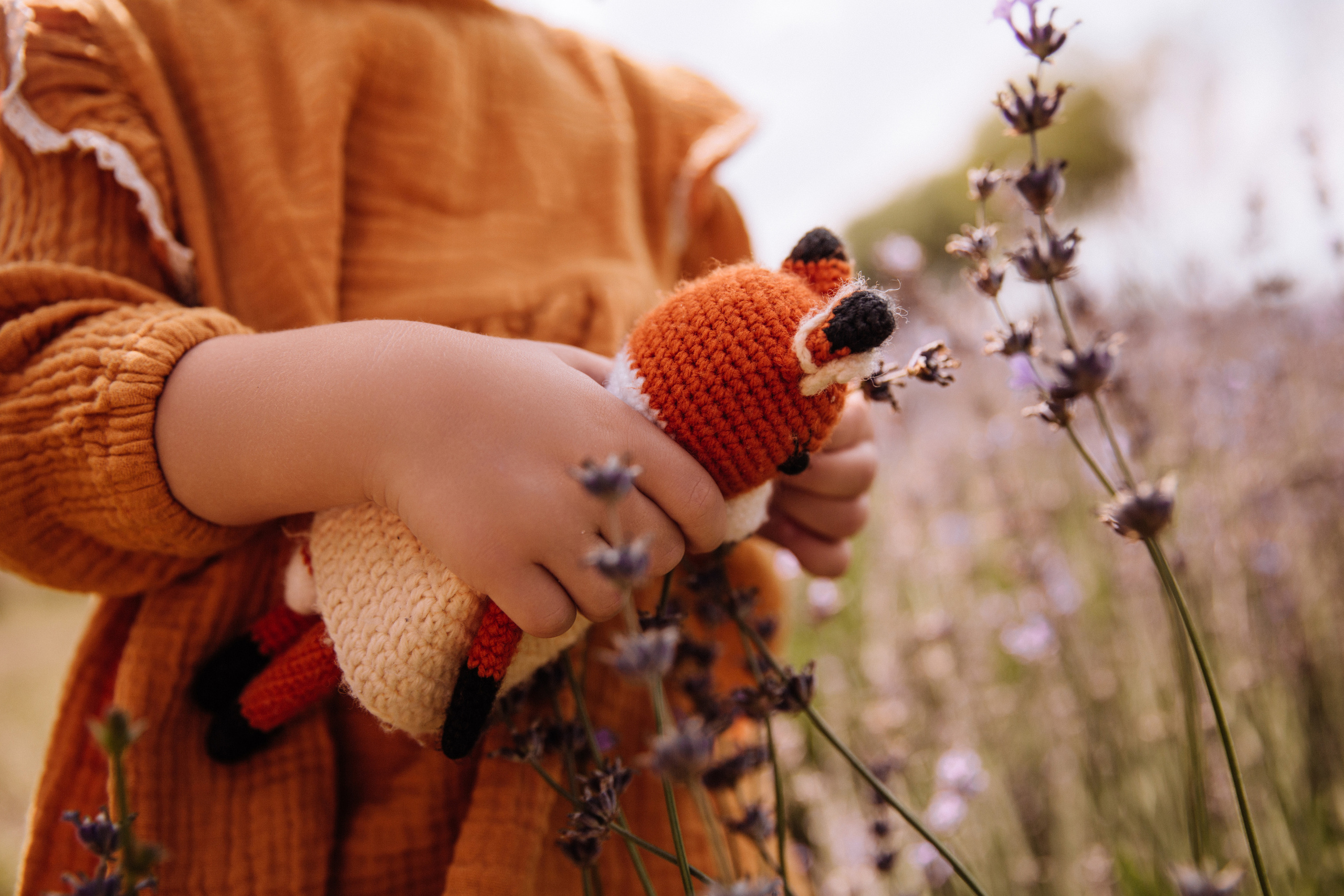 Алисёнок и лаванда. Персональный, семейный и портретный фотограф в Воронеже Майя Яхонтова