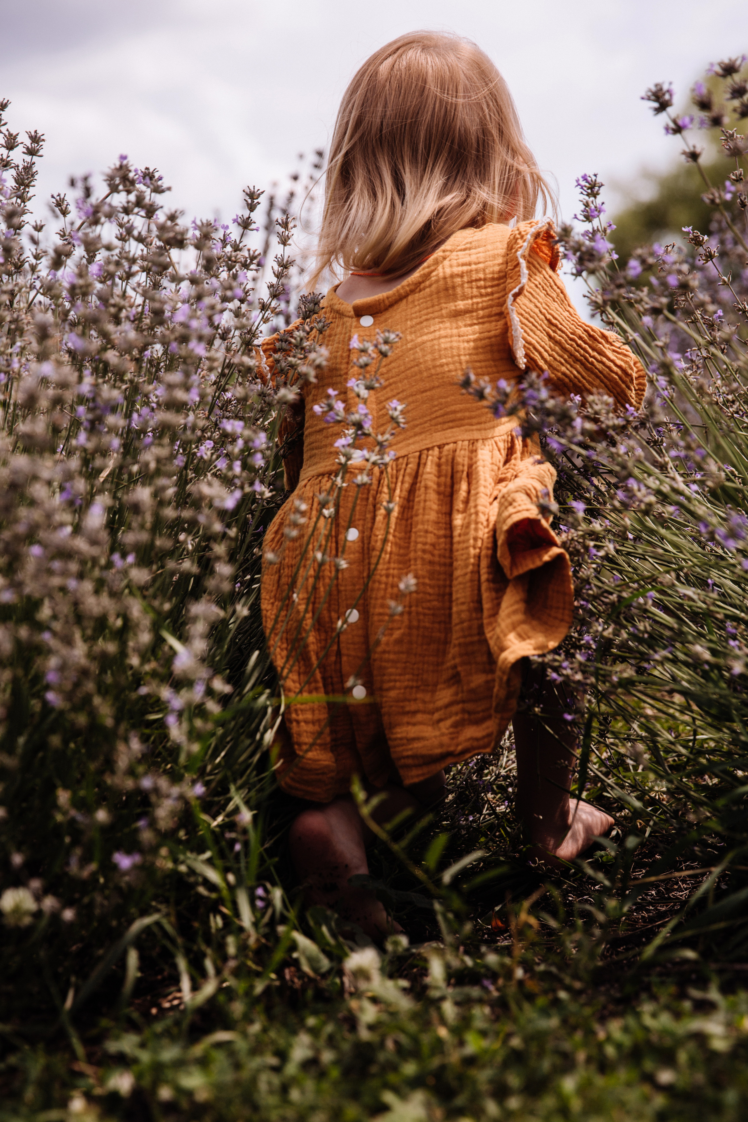 Алисёнок и лаванда. Персональный, семейный и портретный фотограф в Воронеже Майя Яхонтова
