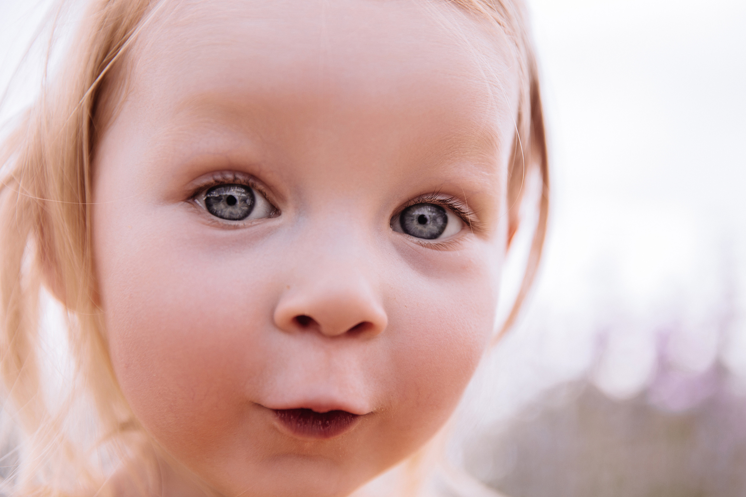 Алисёнок и лаванда. Персональный, семейный и портретный фотограф в Воронеже Майя Яхонтова