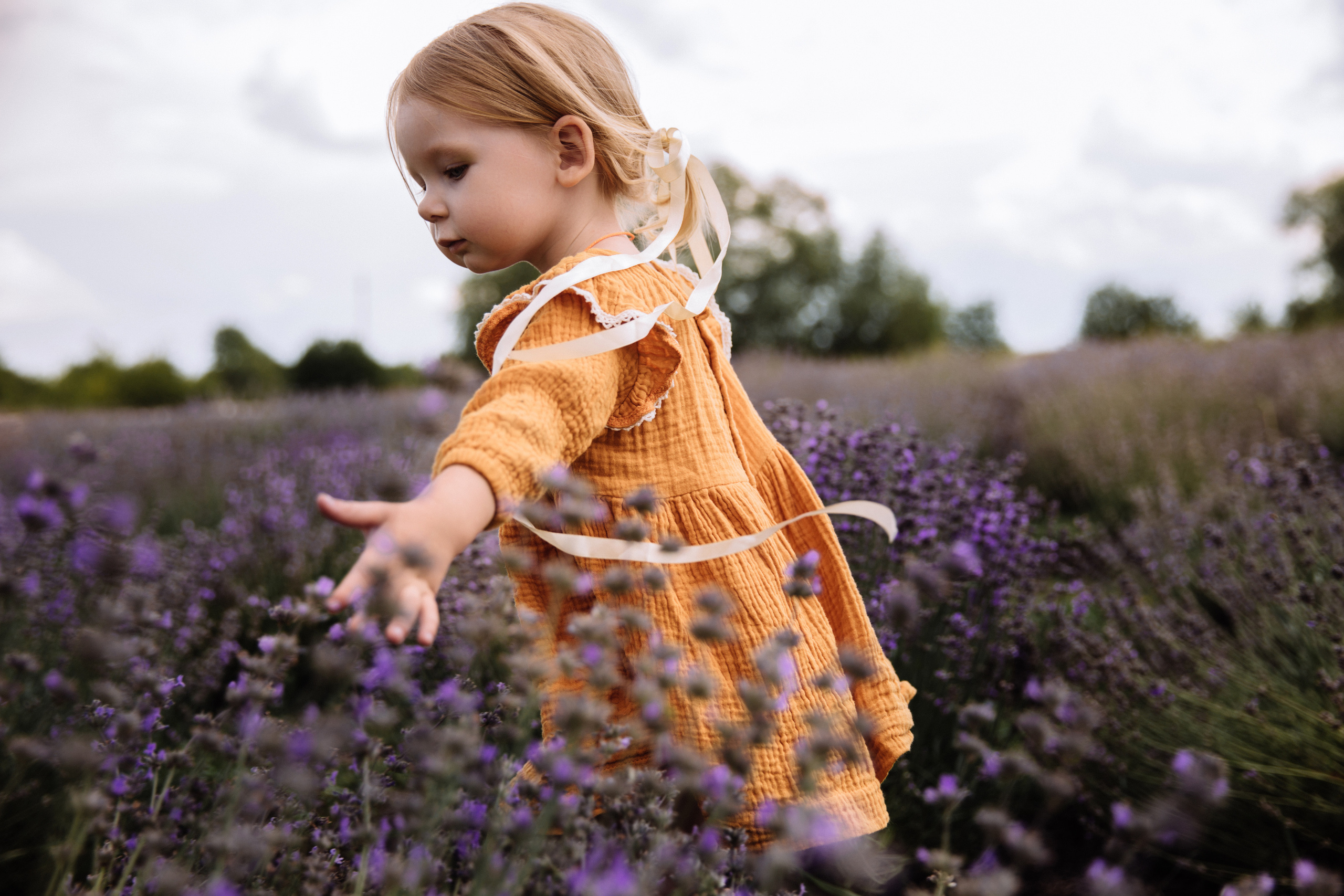 Алисёнок и лаванда. Персональный, семейный и портретный фотограф в Воронеже Майя Яхонтова