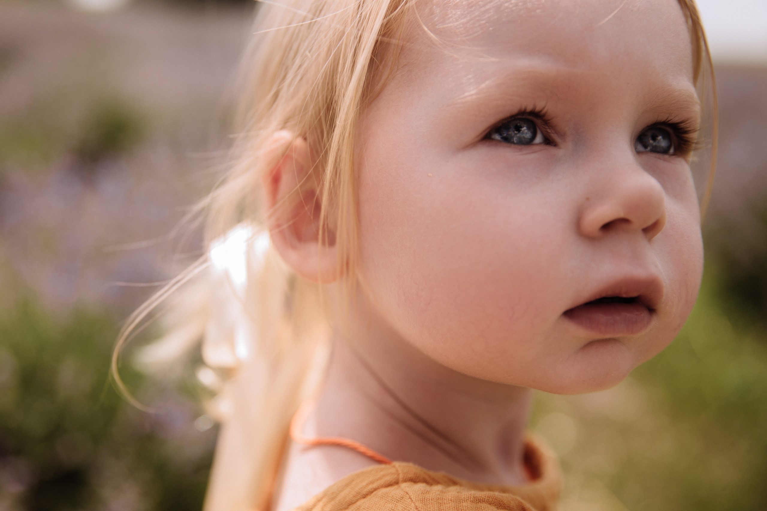 Алисёнок и лаванда. Персональный, семейный и портретный фотограф в Воронеже Майя Яхонтова