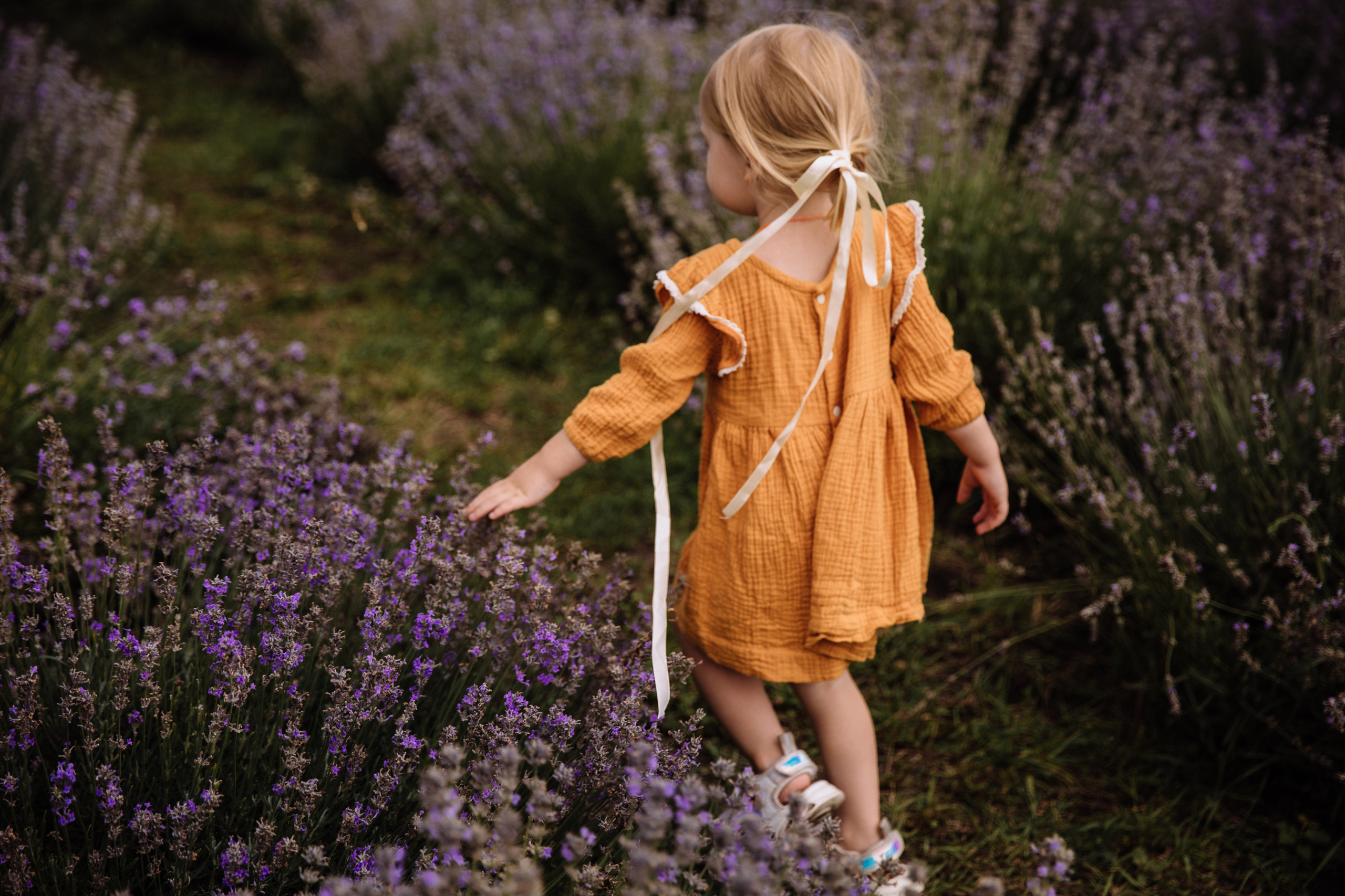 Алисёнок и лаванда. Персональный, семейный и портретный фотограф в Воронеже Майя Яхонтова