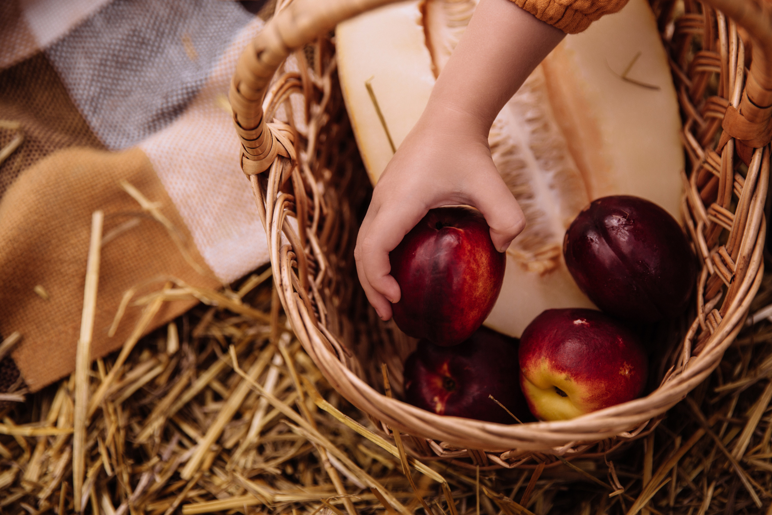 Алисёнок и лаванда. Персональный, семейный и портретный фотограф в Воронеже Майя Яхонтова