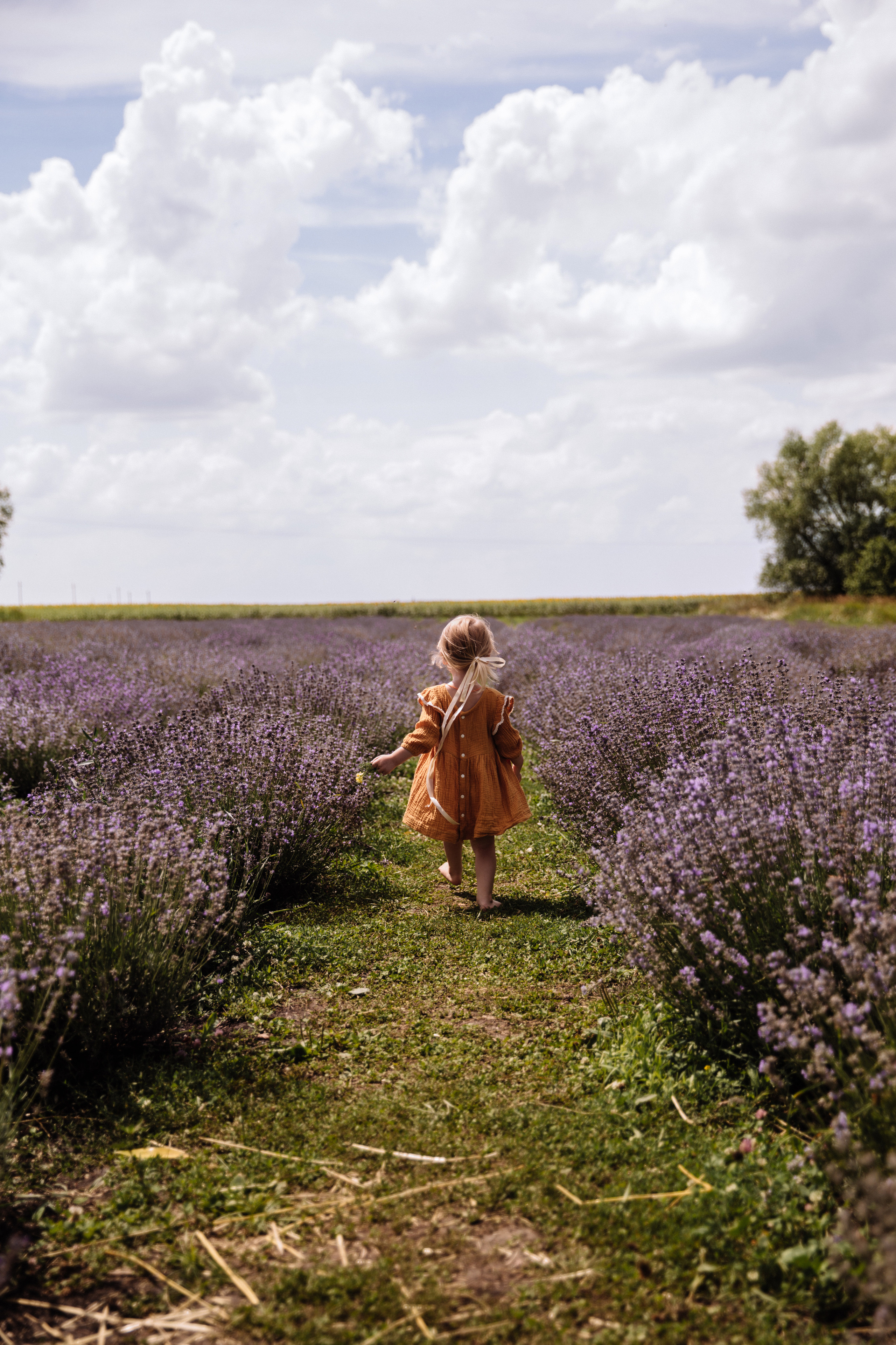 Алисёнок и лаванда. Персональный, семейный и портретный фотограф в Воронеже Майя Яхонтова