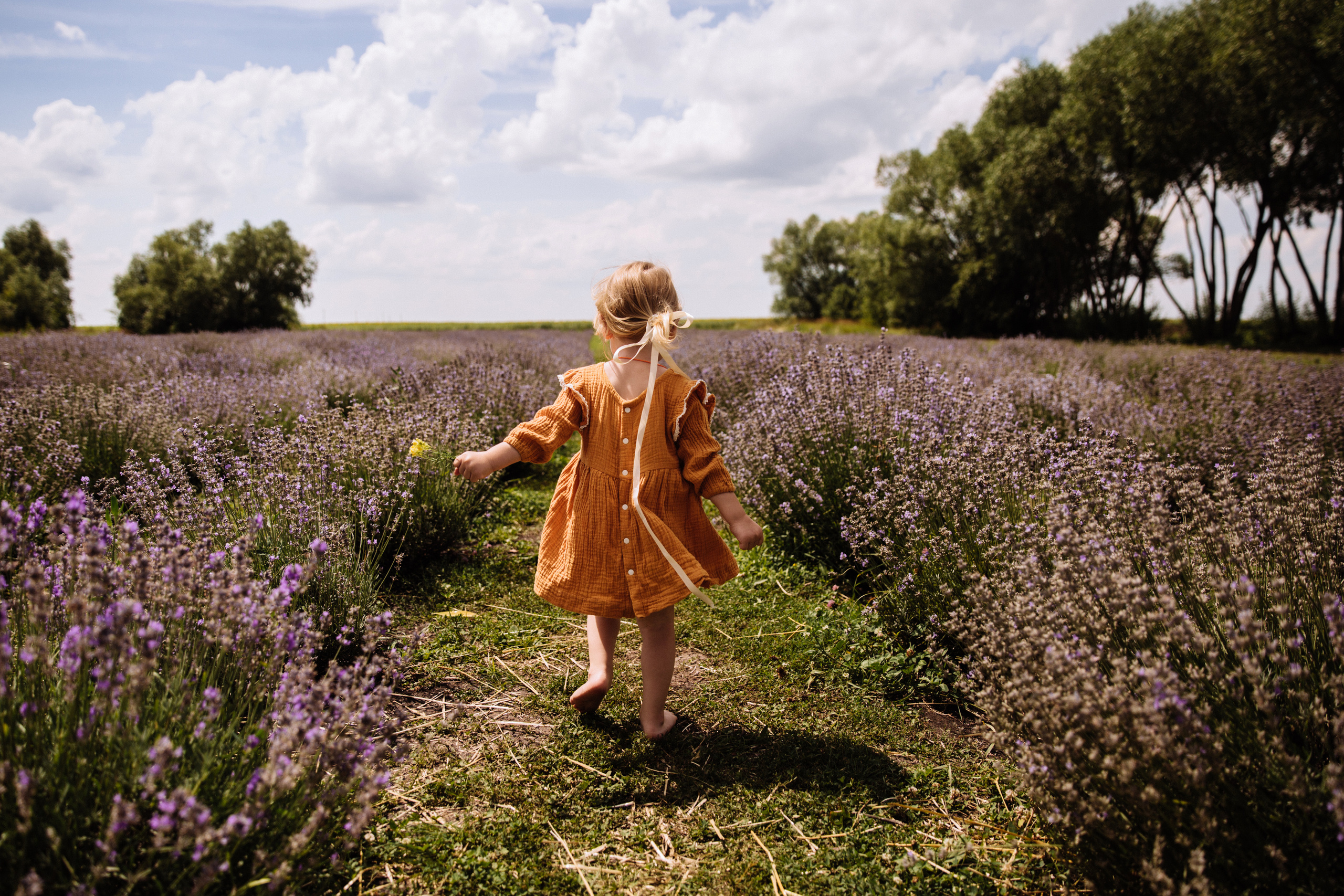 Алисёнок и лаванда. Персональный, семейный и портретный фотограф в Воронеже Майя Яхонтова