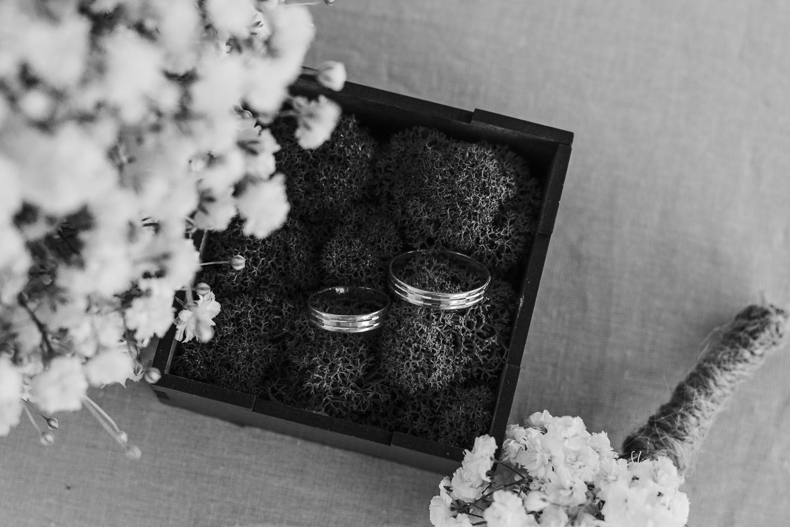 Лёша&Катя. Персональный, семейный и портретный фотограф в Воронеже Майя Яхонтова