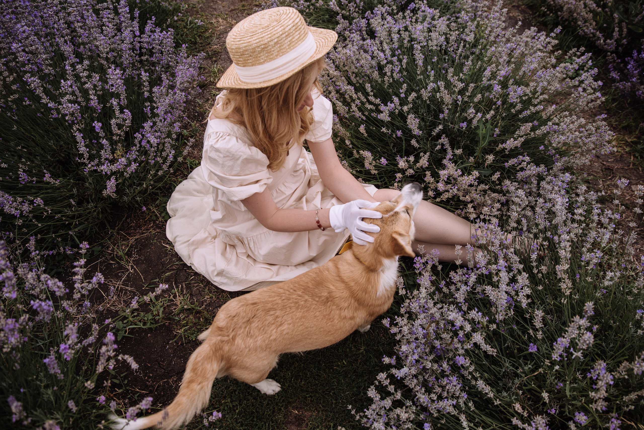 Катя и Прованс. Персональный, семейный и портретный фотограф в Воронеже Майя Яхонтова